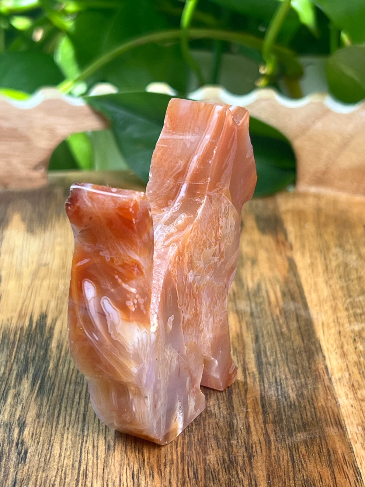 Carnelian Cat: PM