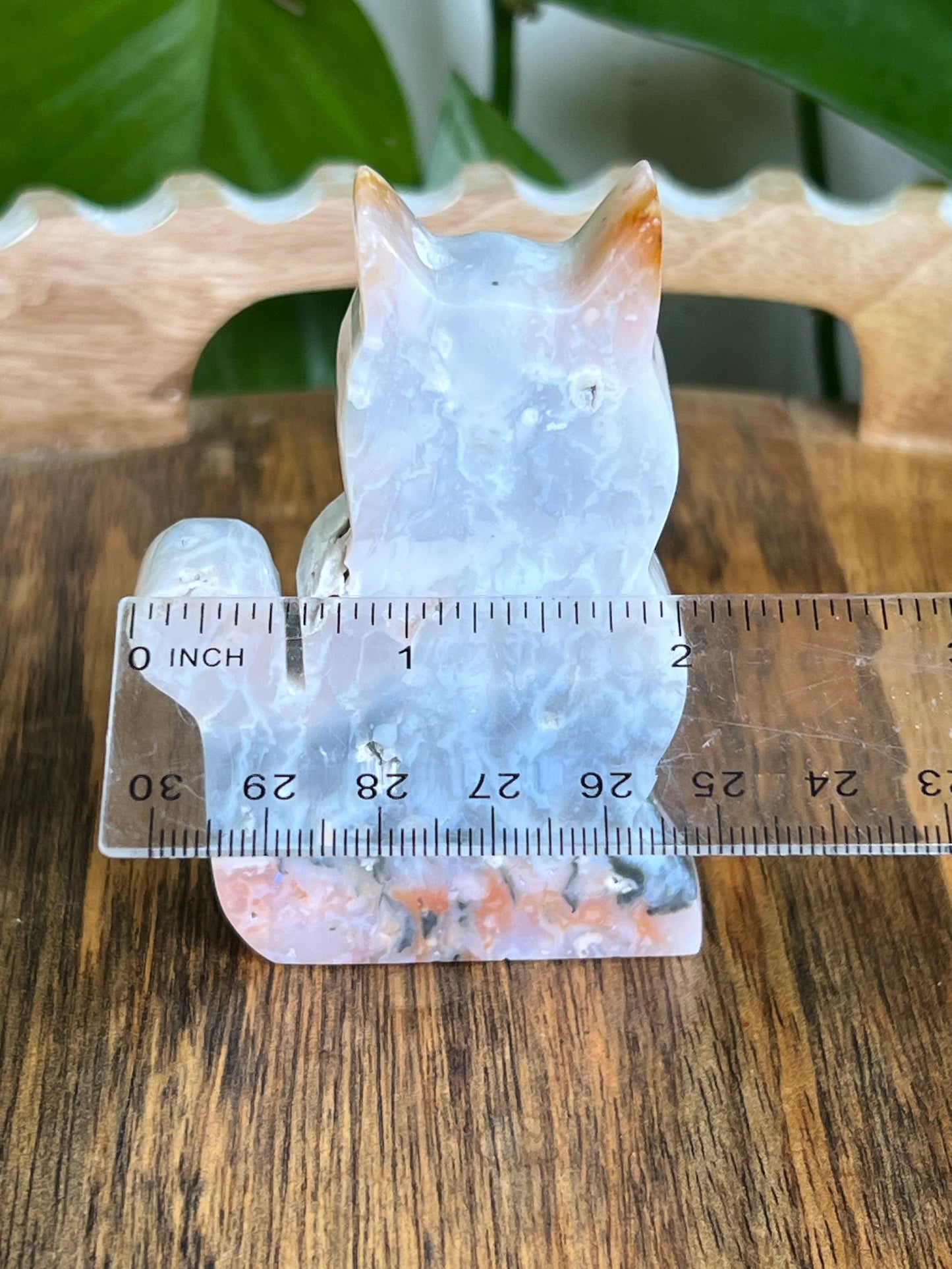 Rainbow Plume Agate Cat NG