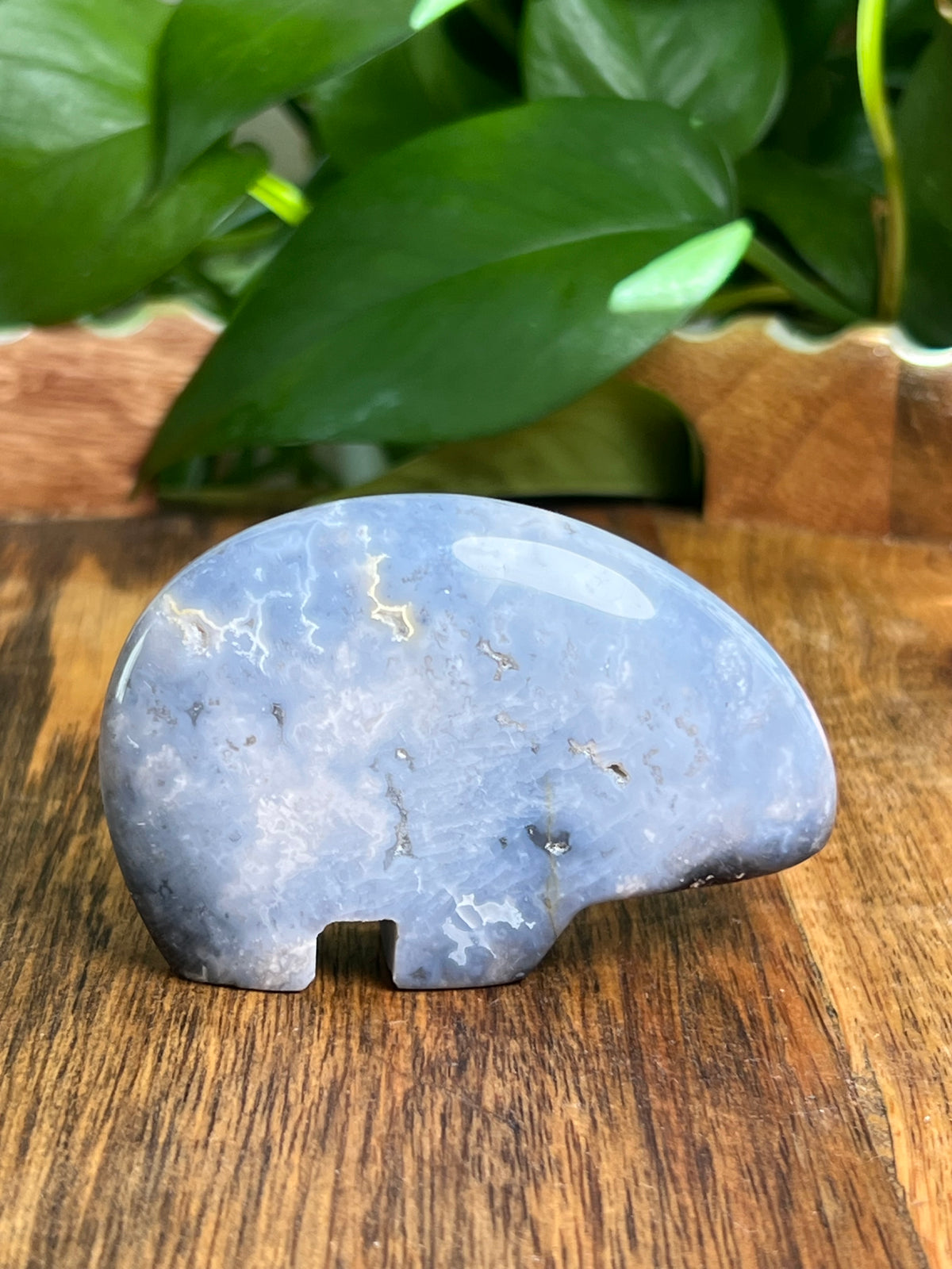 Blue Plume Agate Bear: DN