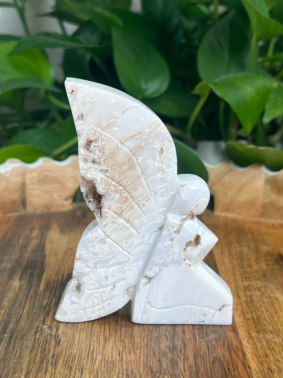 White Plume Agate Fairy: VB