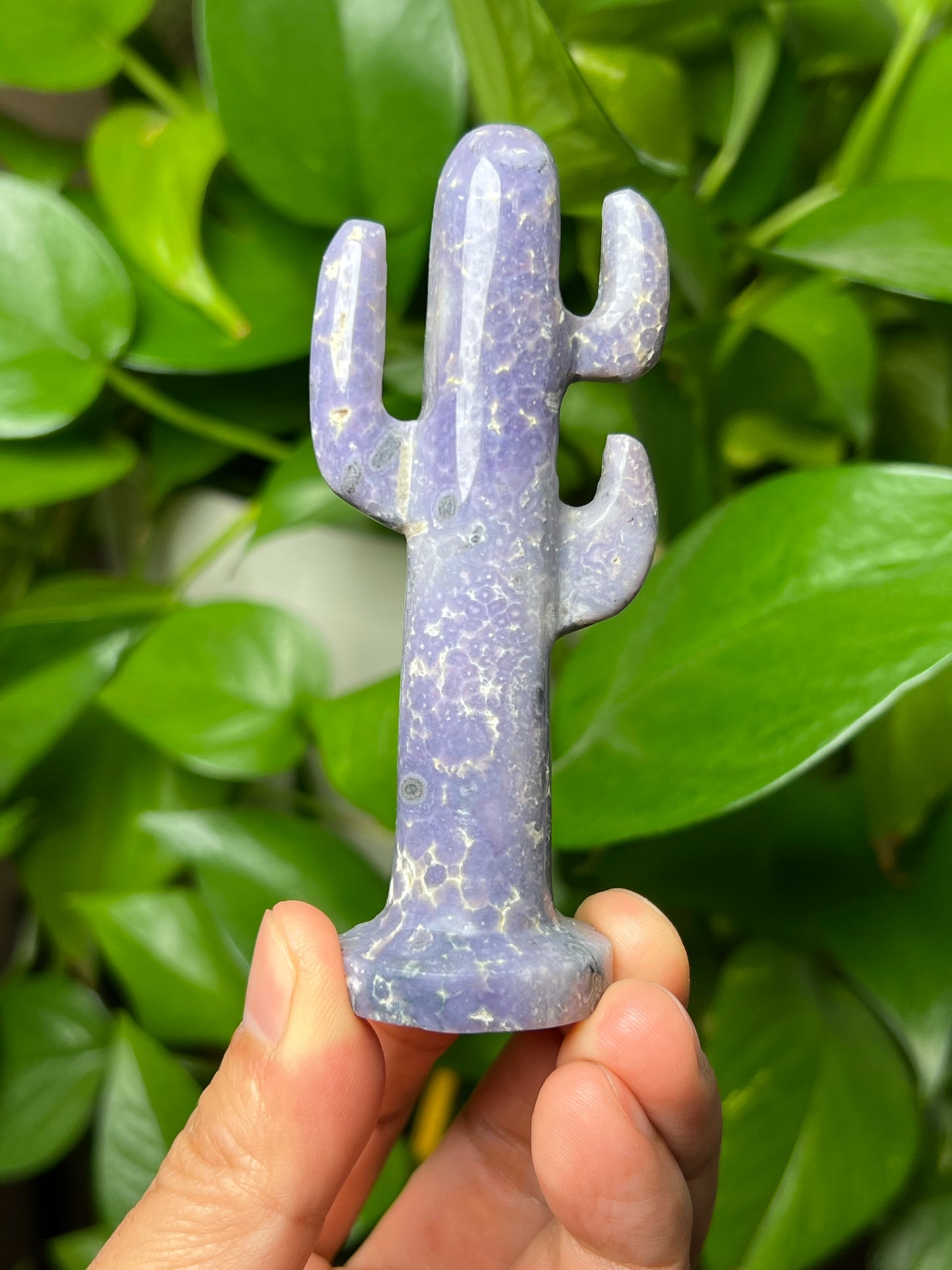 Grape Agate Cactus