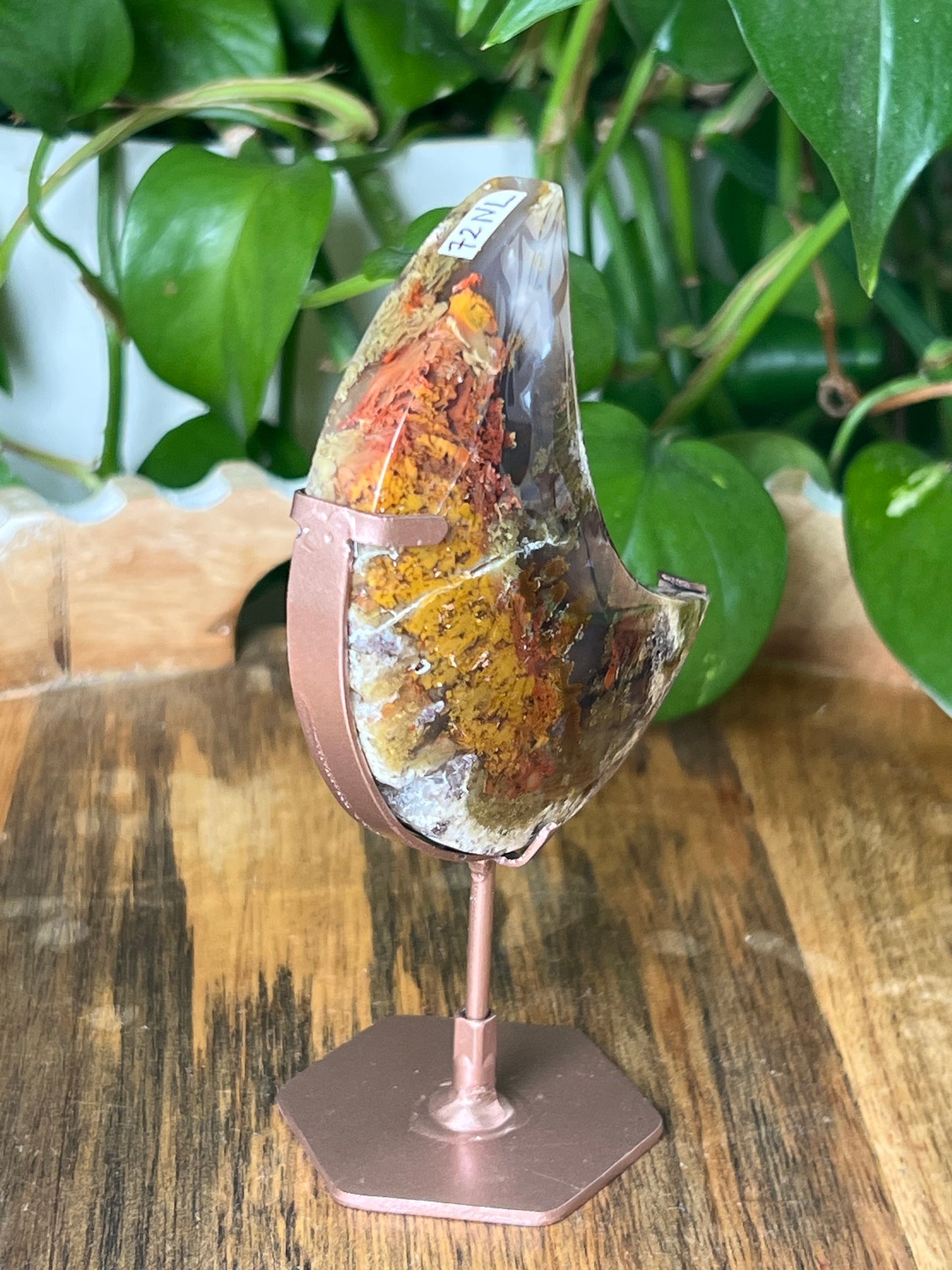 Scenic Moss Agate Moon