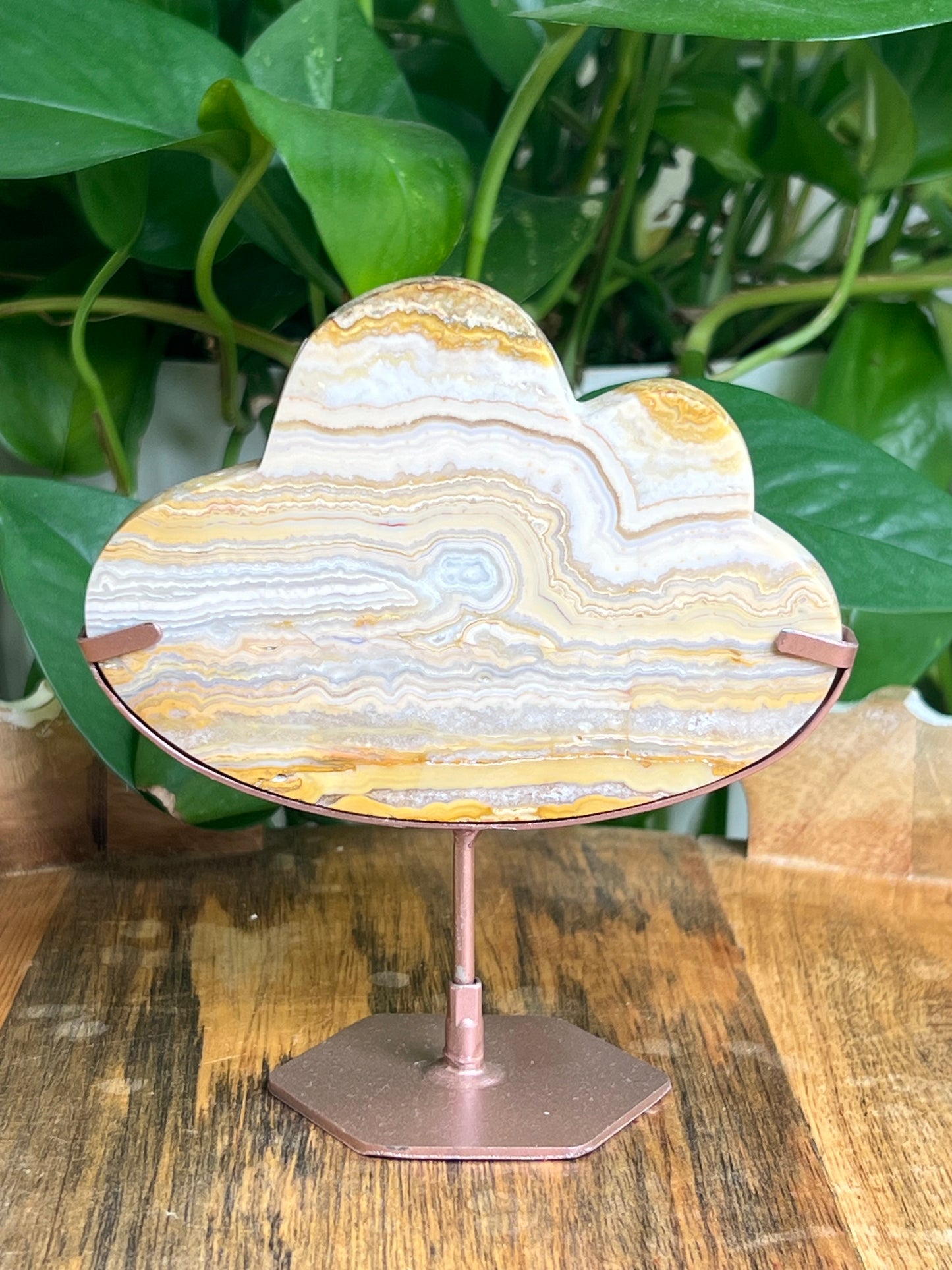 Yellow Crazy Lace Agate Cloud: NB