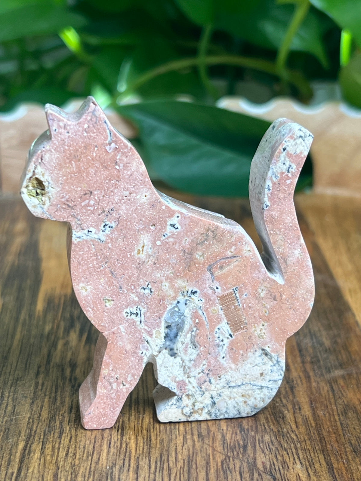 Dendritic Jasper Cat: KA