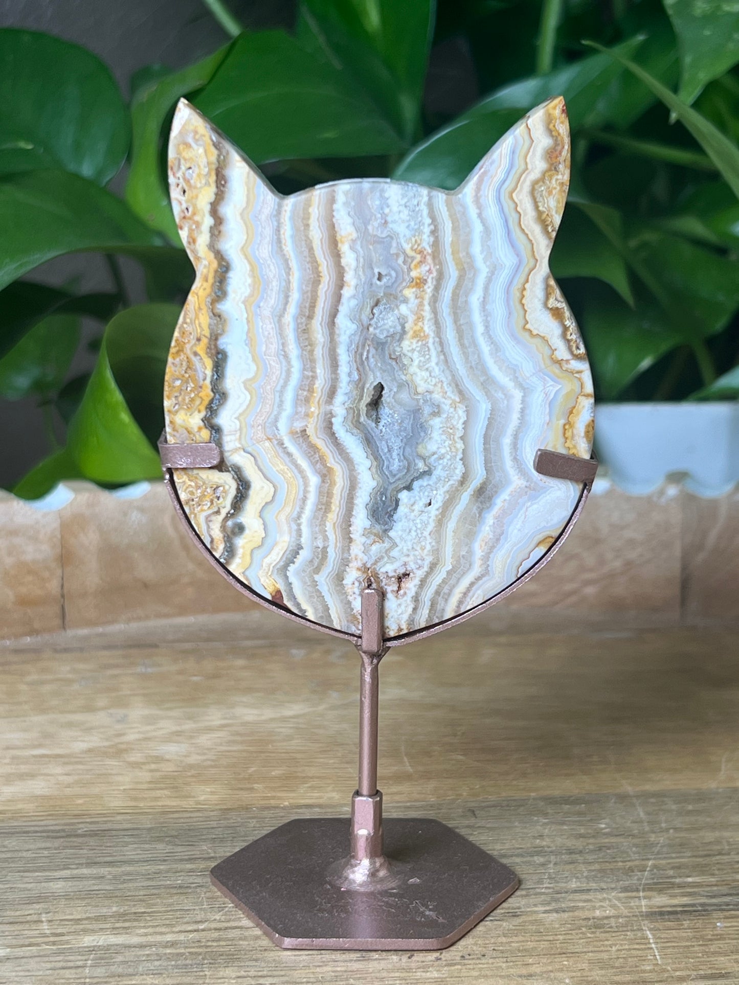 Crazy Lace Agate Cat