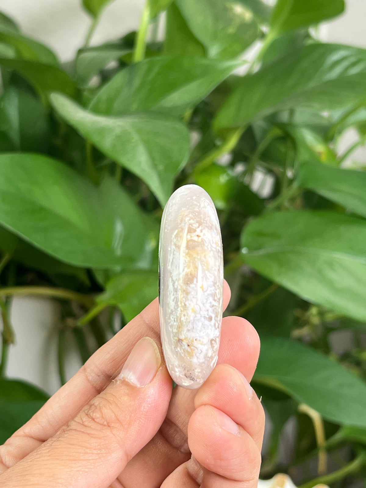 Scenic Moss Agate Palmstone: A