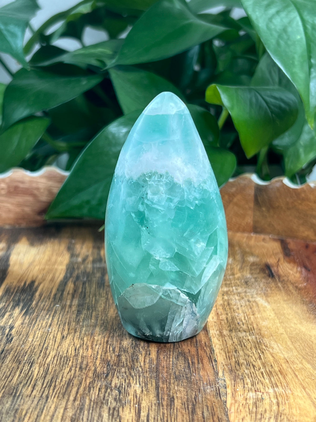 Mexican Flourite Freeform: AE