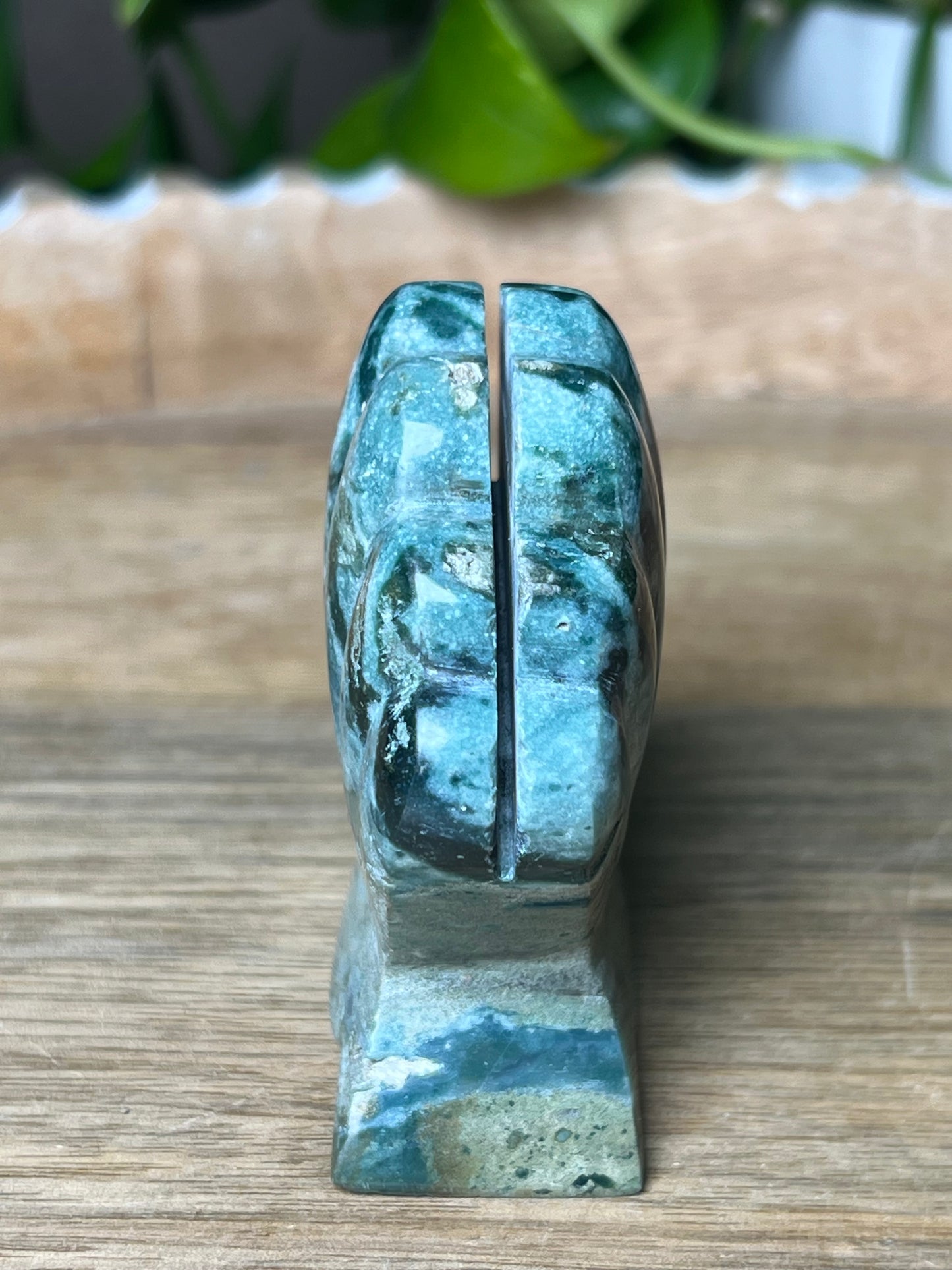 Blue Green Jasper Shell