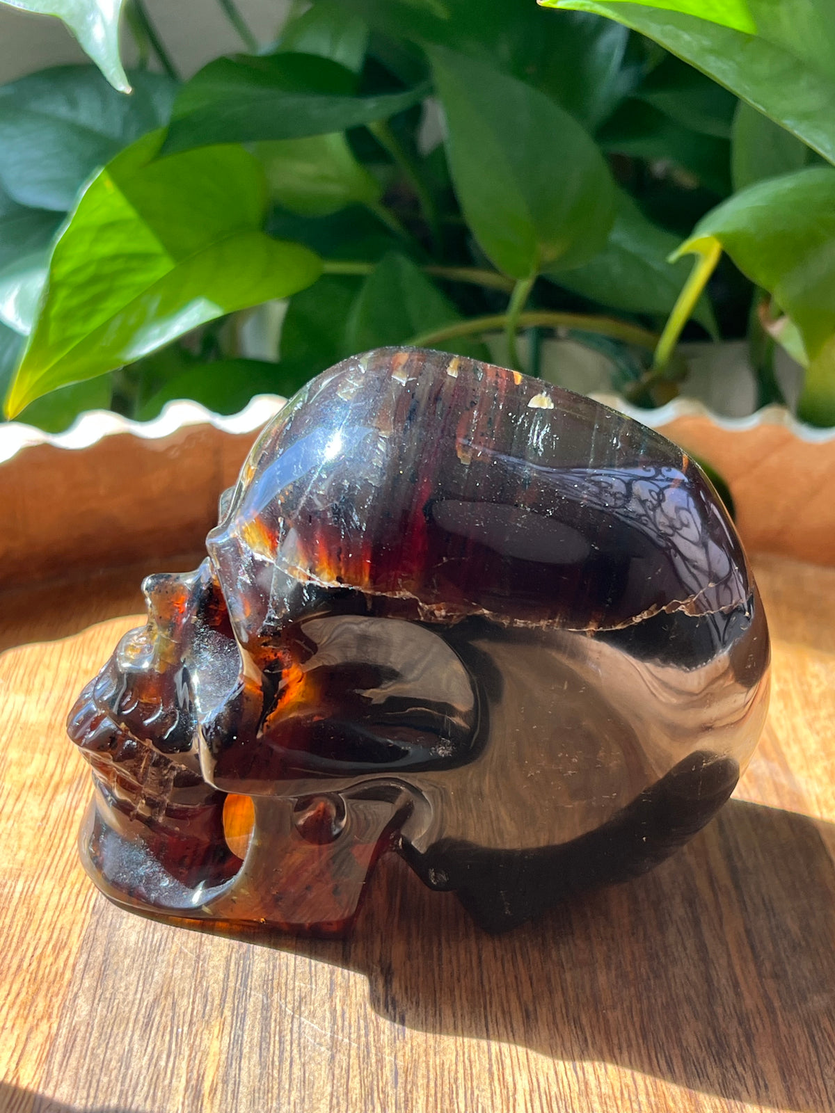 Blue Amber Skull: NX