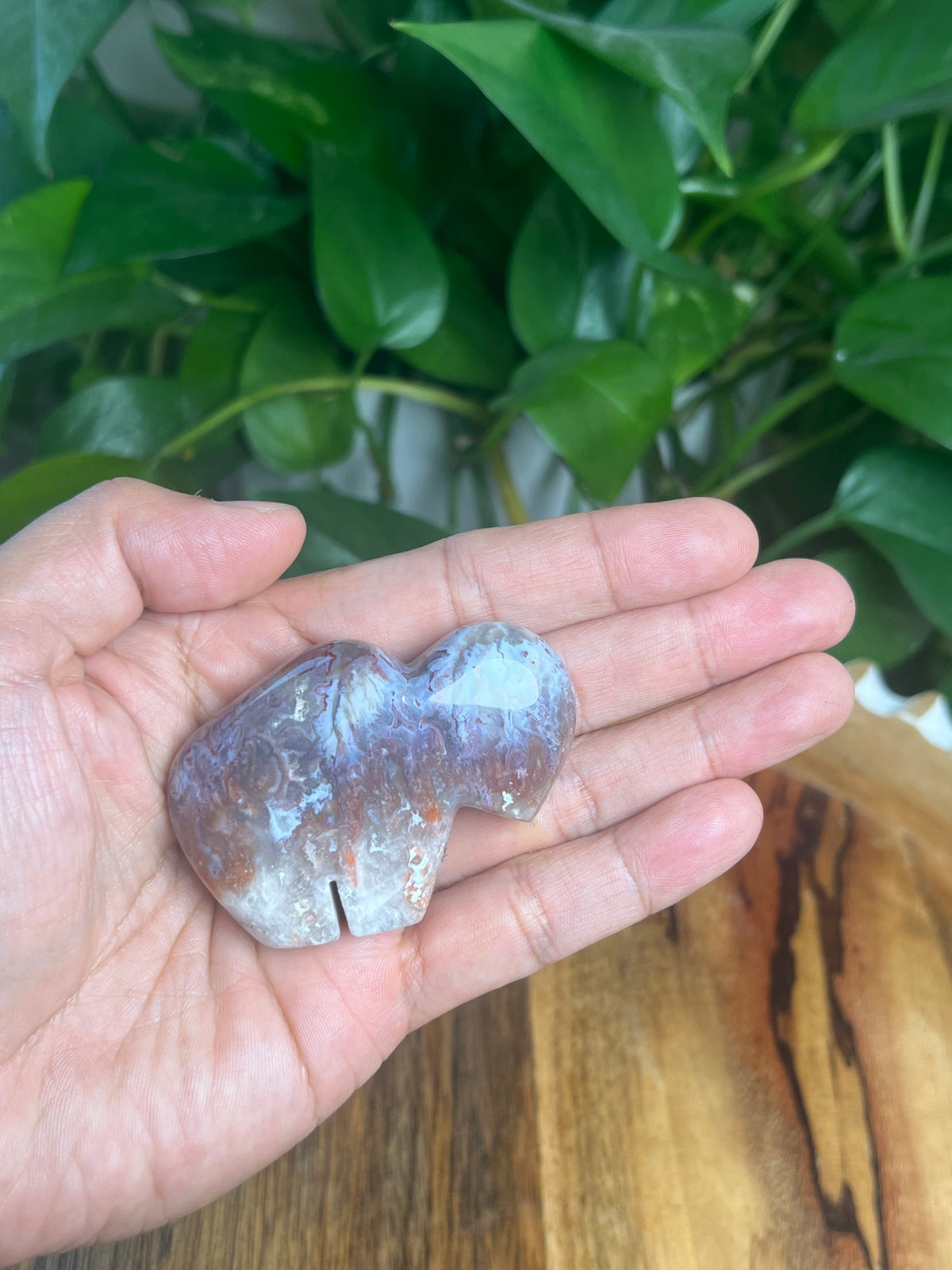 Sumatra Plume Agate Mini Buffalo: DH