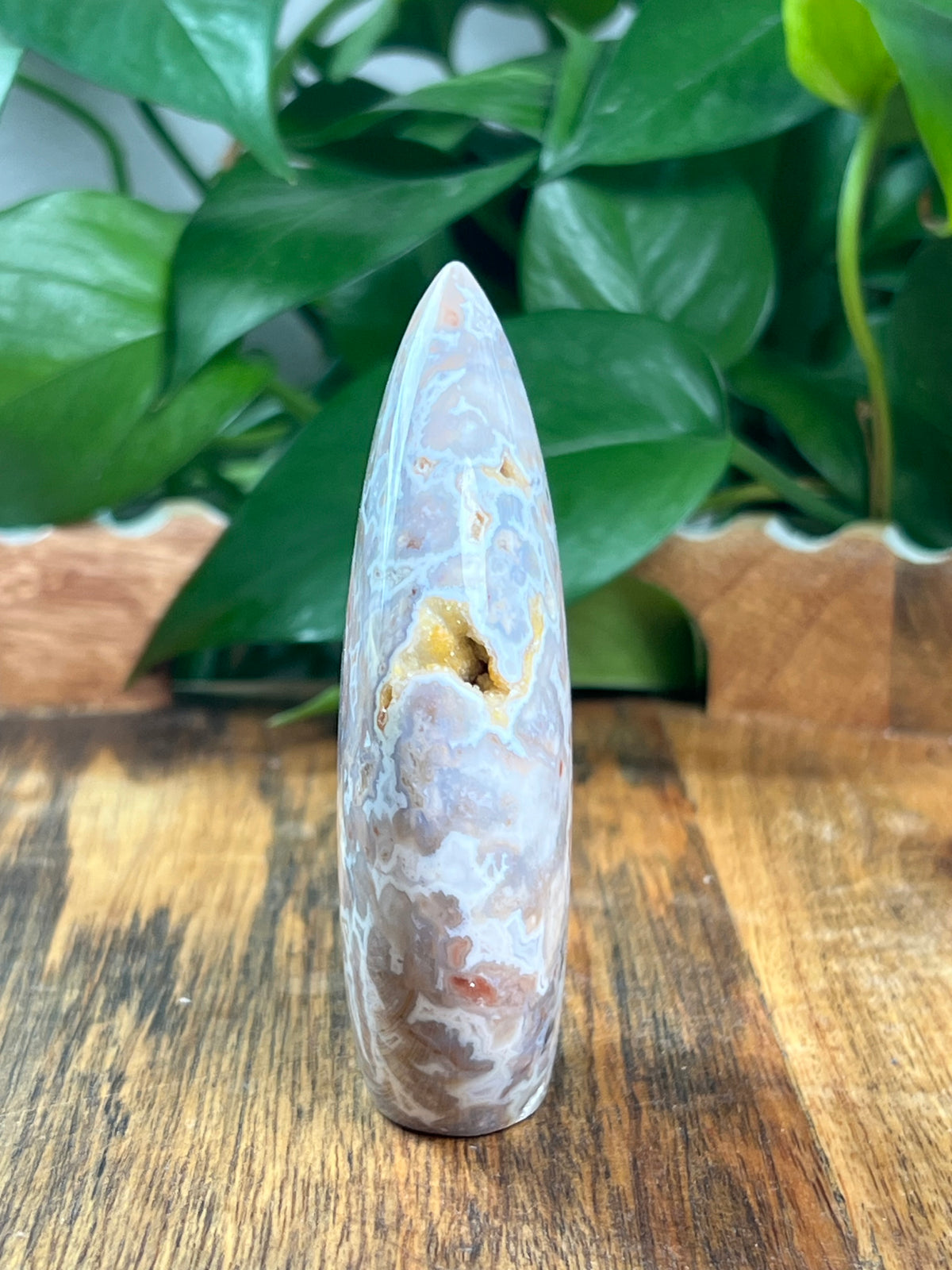 Sumatra Plume Agate Flame: NE