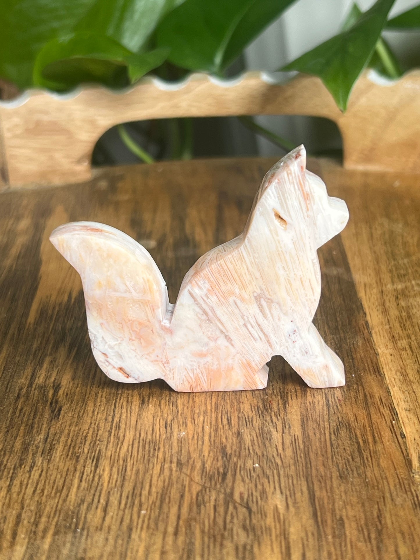 Tube Agate Fox BB
