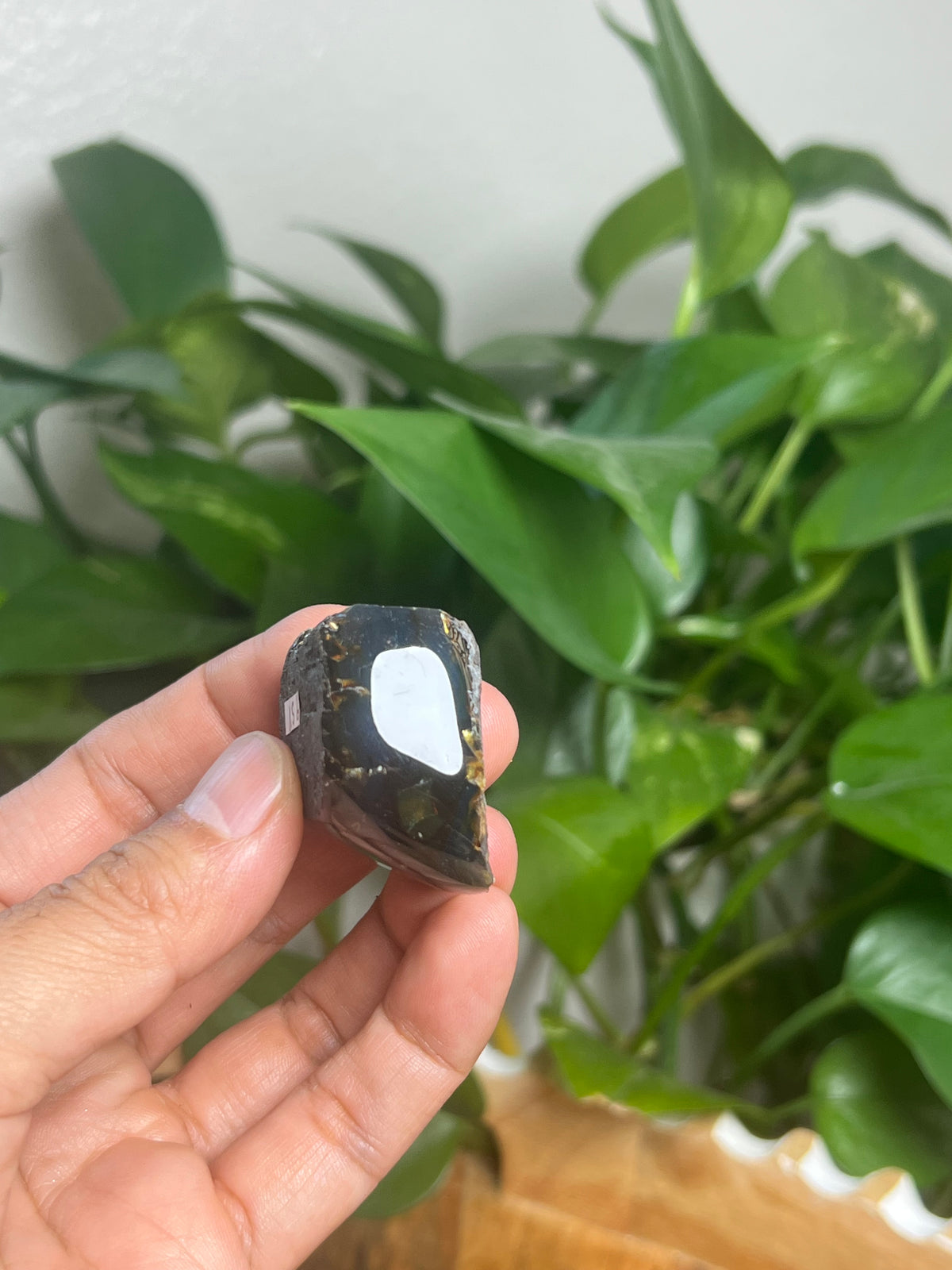 Blue Amber Freeform: SV