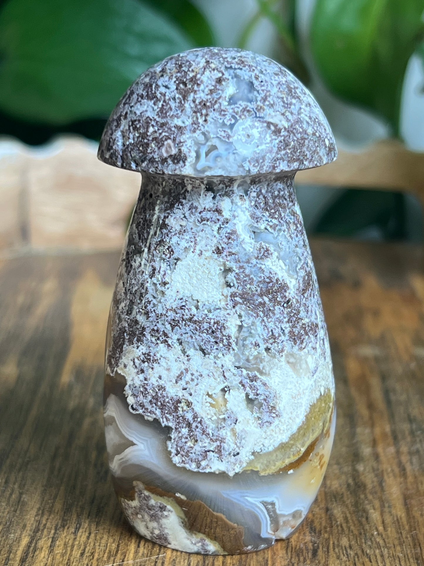 Scenic Moss Agate Mushroom
