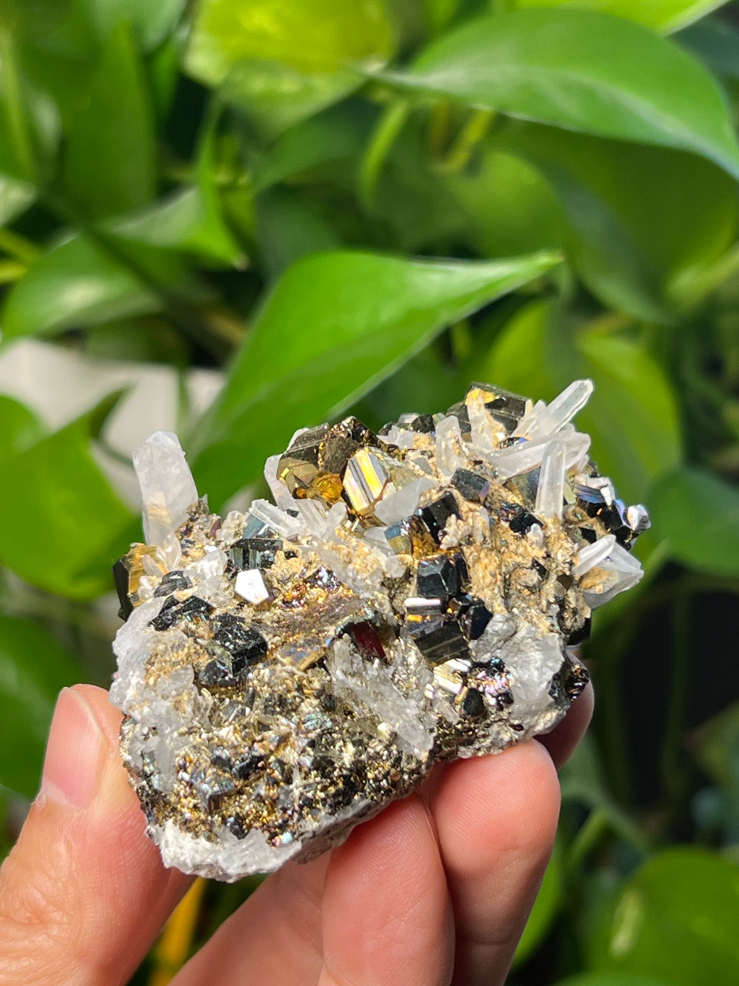 Rainbow Pyrite Quartz