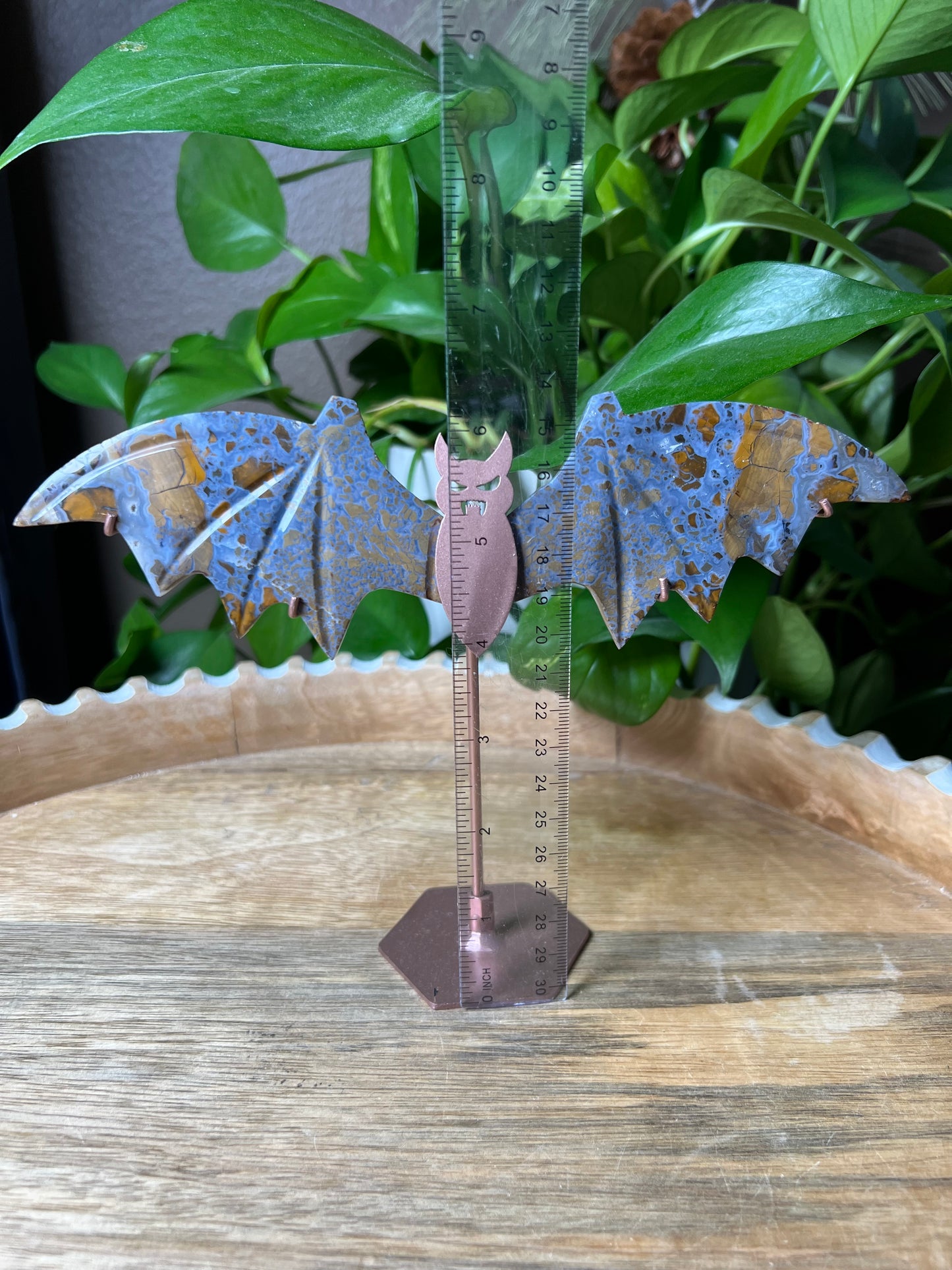 Brecciated Jasper Bat Wings