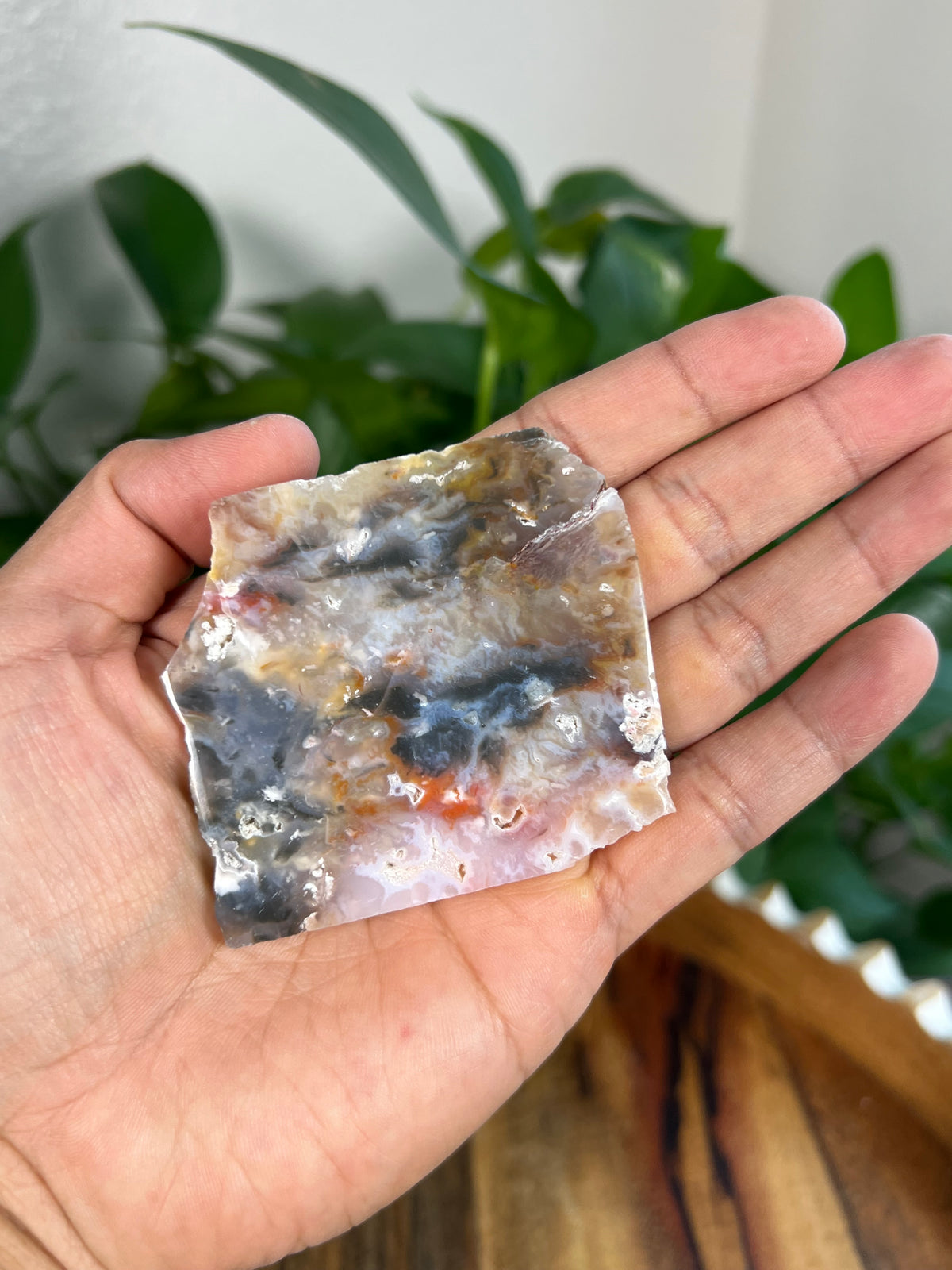 Rainbow Plume Agate Slabs