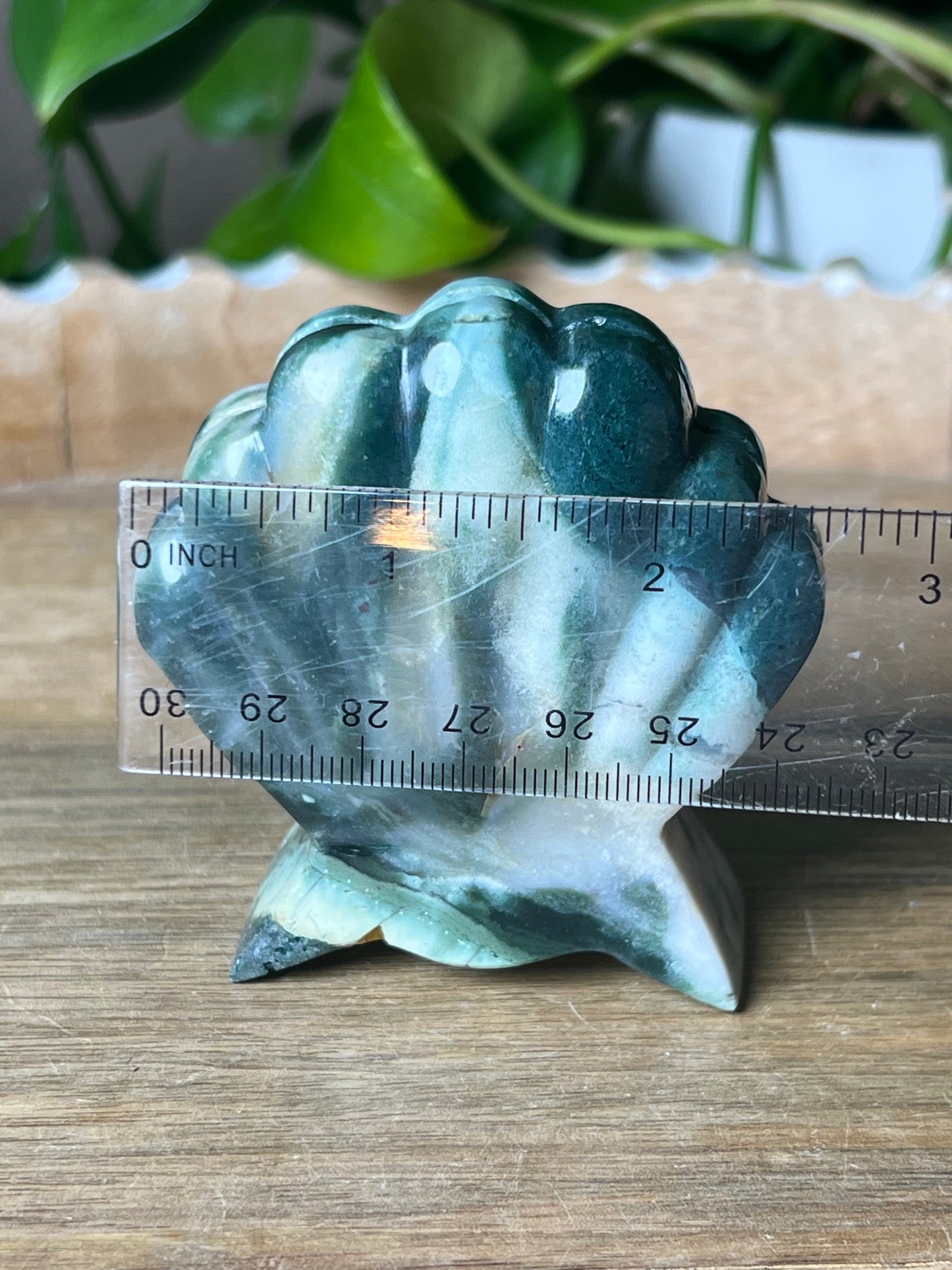 Blue Green Jasper Shell