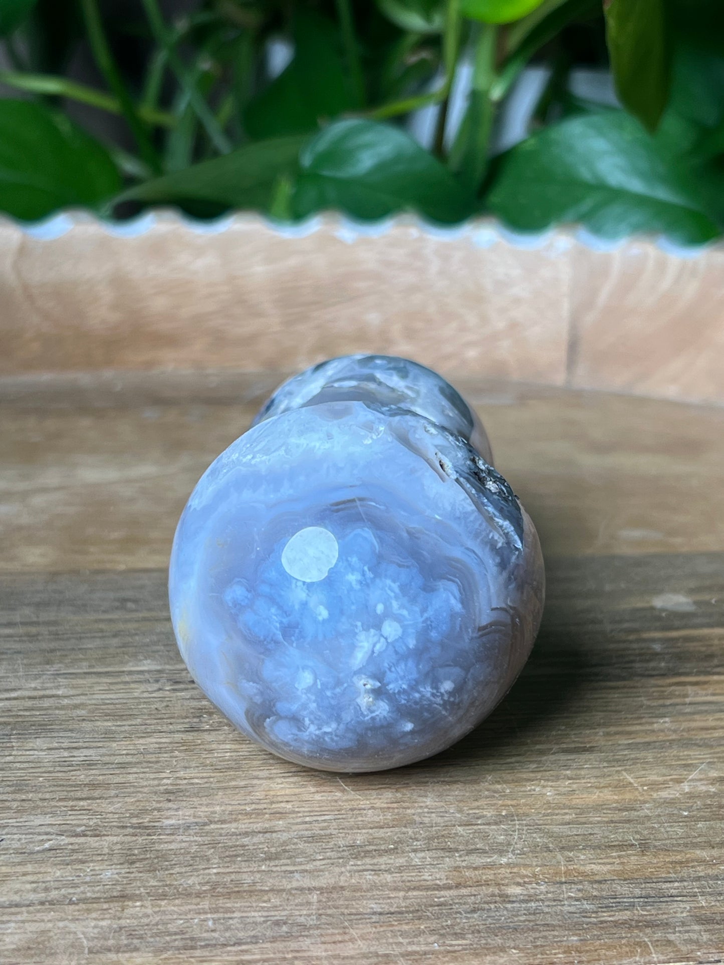 Blue Grey Lace Agate Mushroom: AB