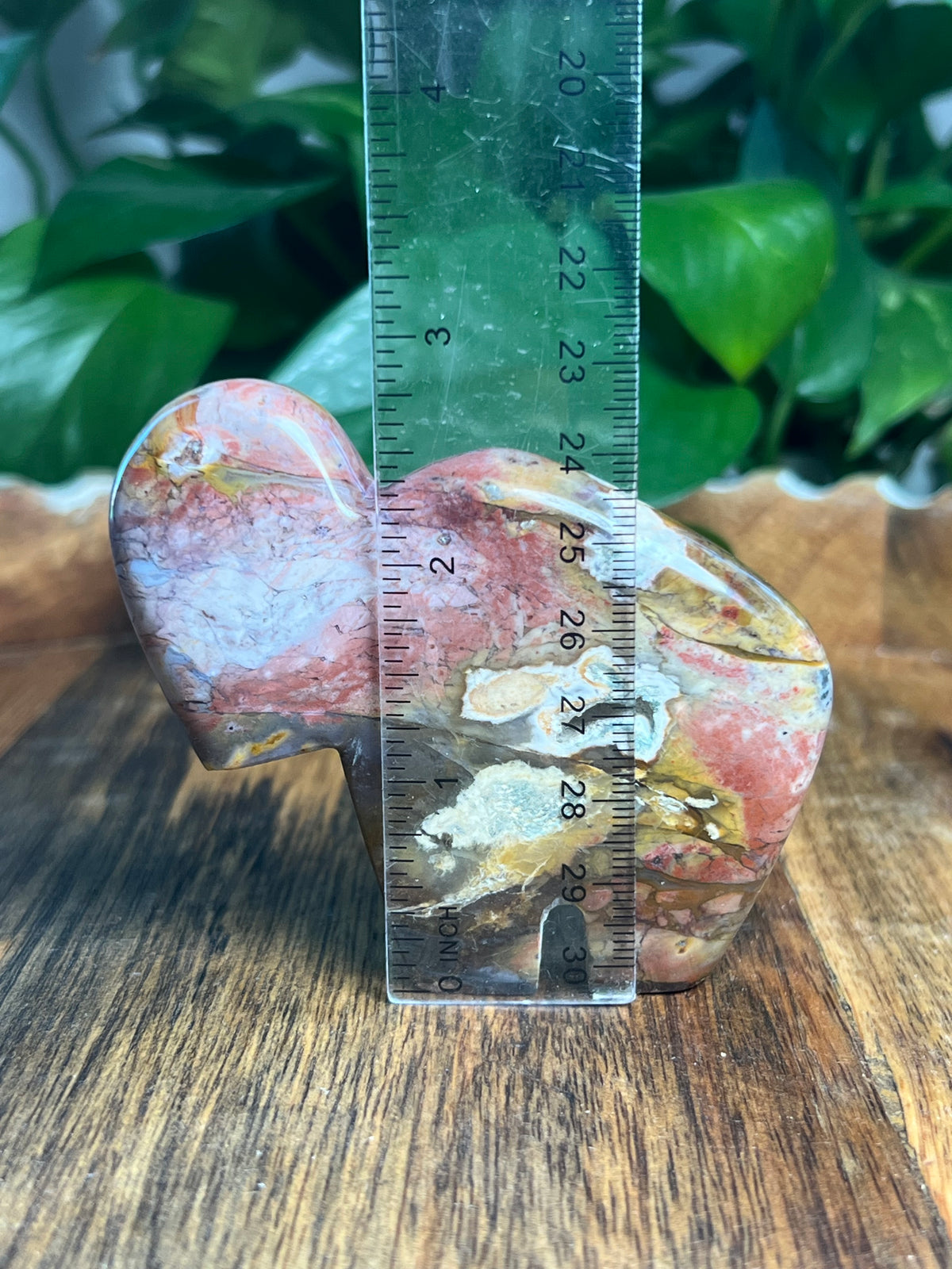 River Jasper Buffalo: RS