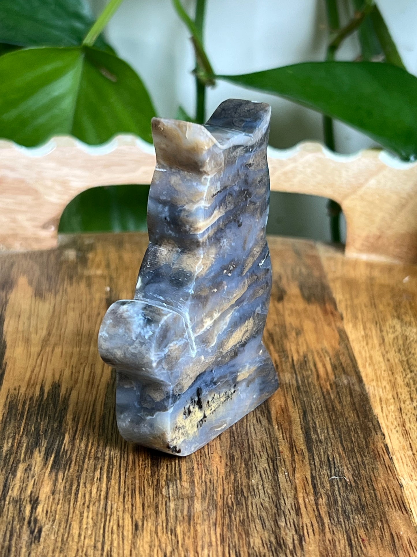 Dendritic Tiger Agate Cat AE