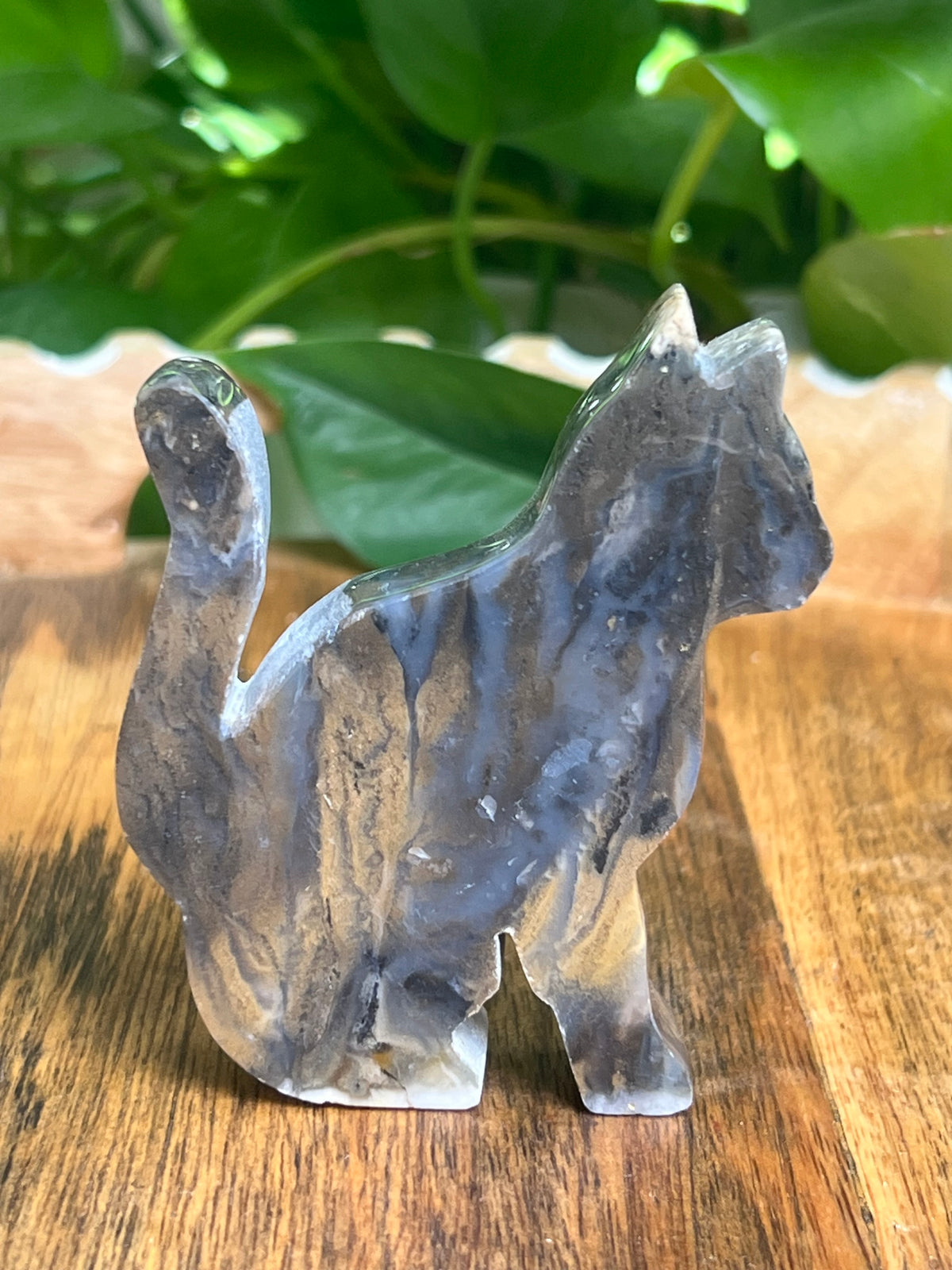 Dendritic Tiger Agate Cat: BG