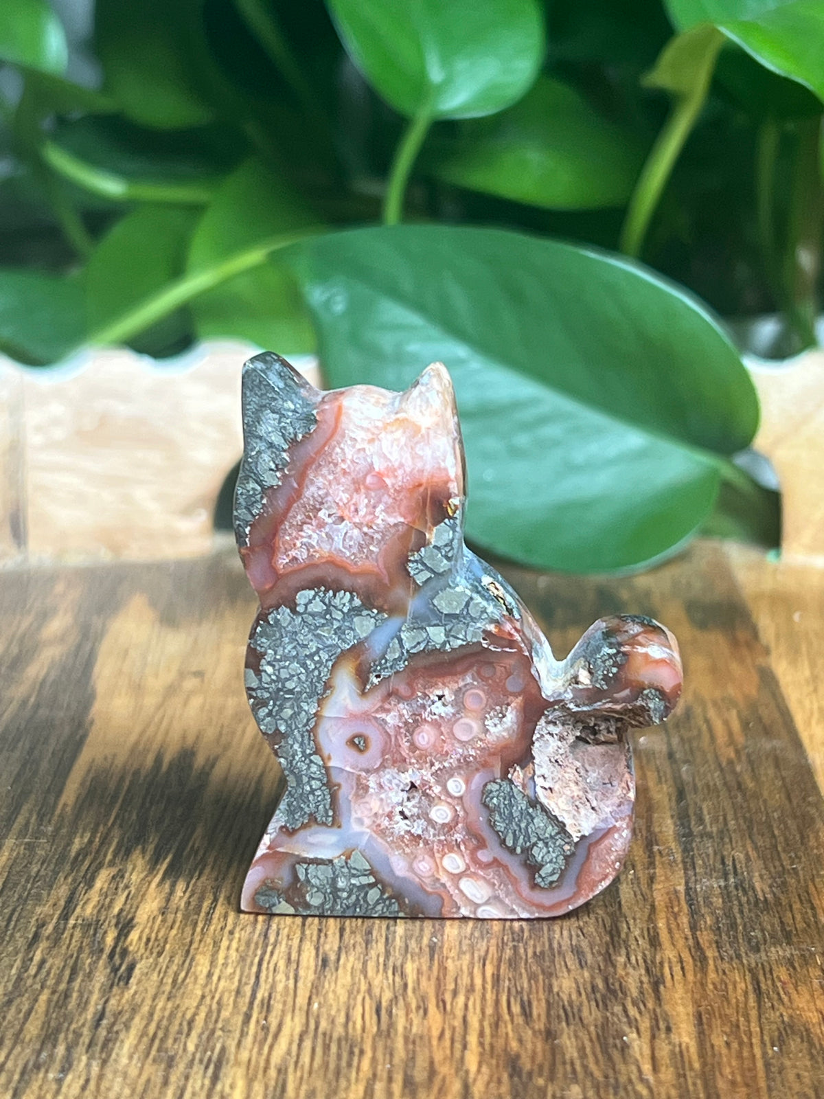 Marcasite Mini Cat: XV