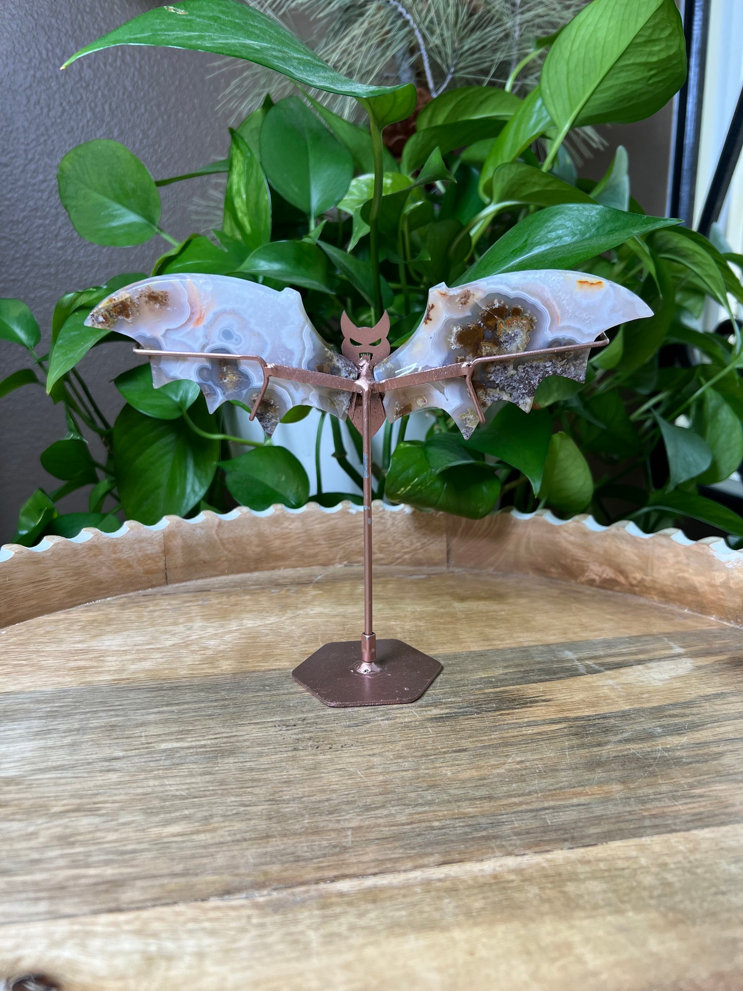 Scenic Moss Agate Bat Wings: RI