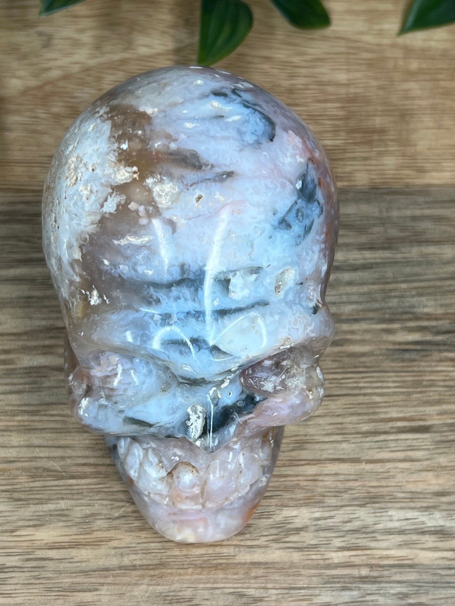 Rainbow Plume Agate Skull