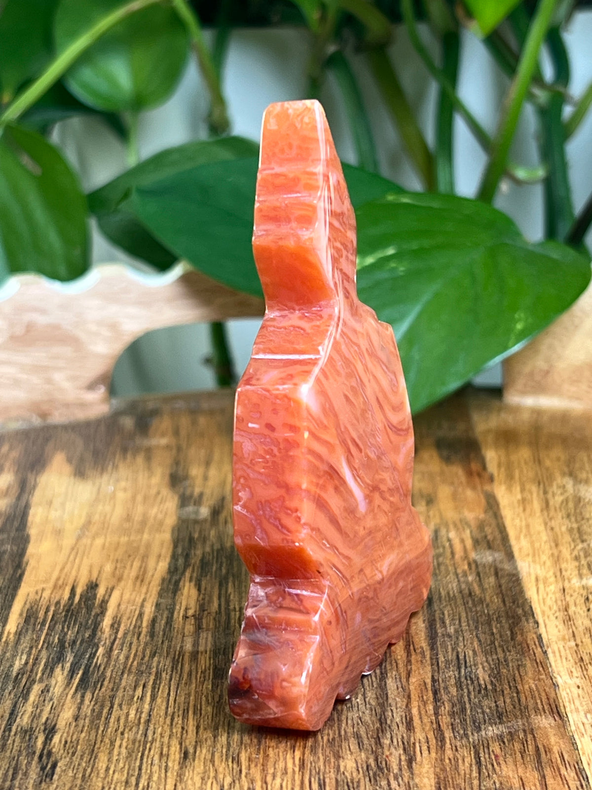 Carnelian Buddha: BF