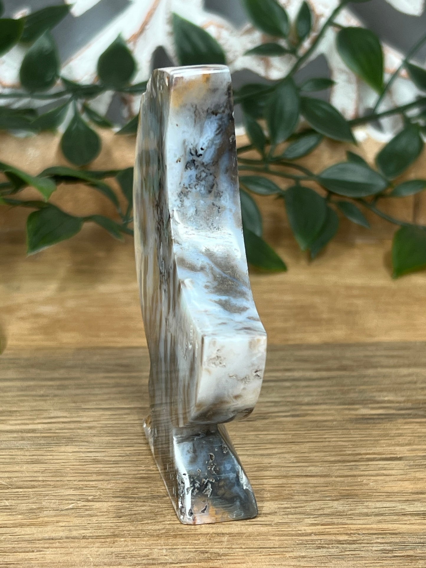 Dendritic Tiger Agate Moon