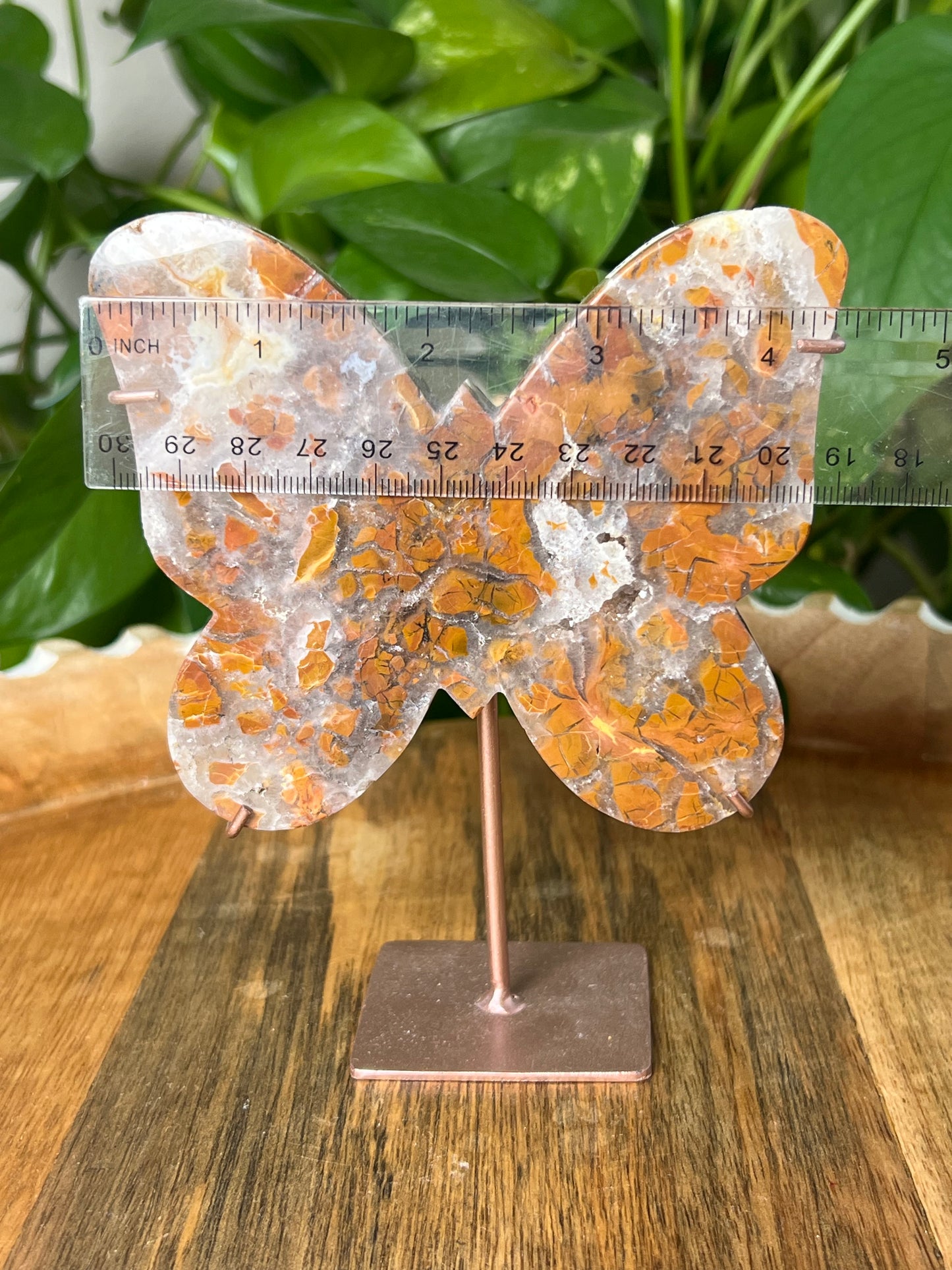 Brecciated Jasper Butterfly