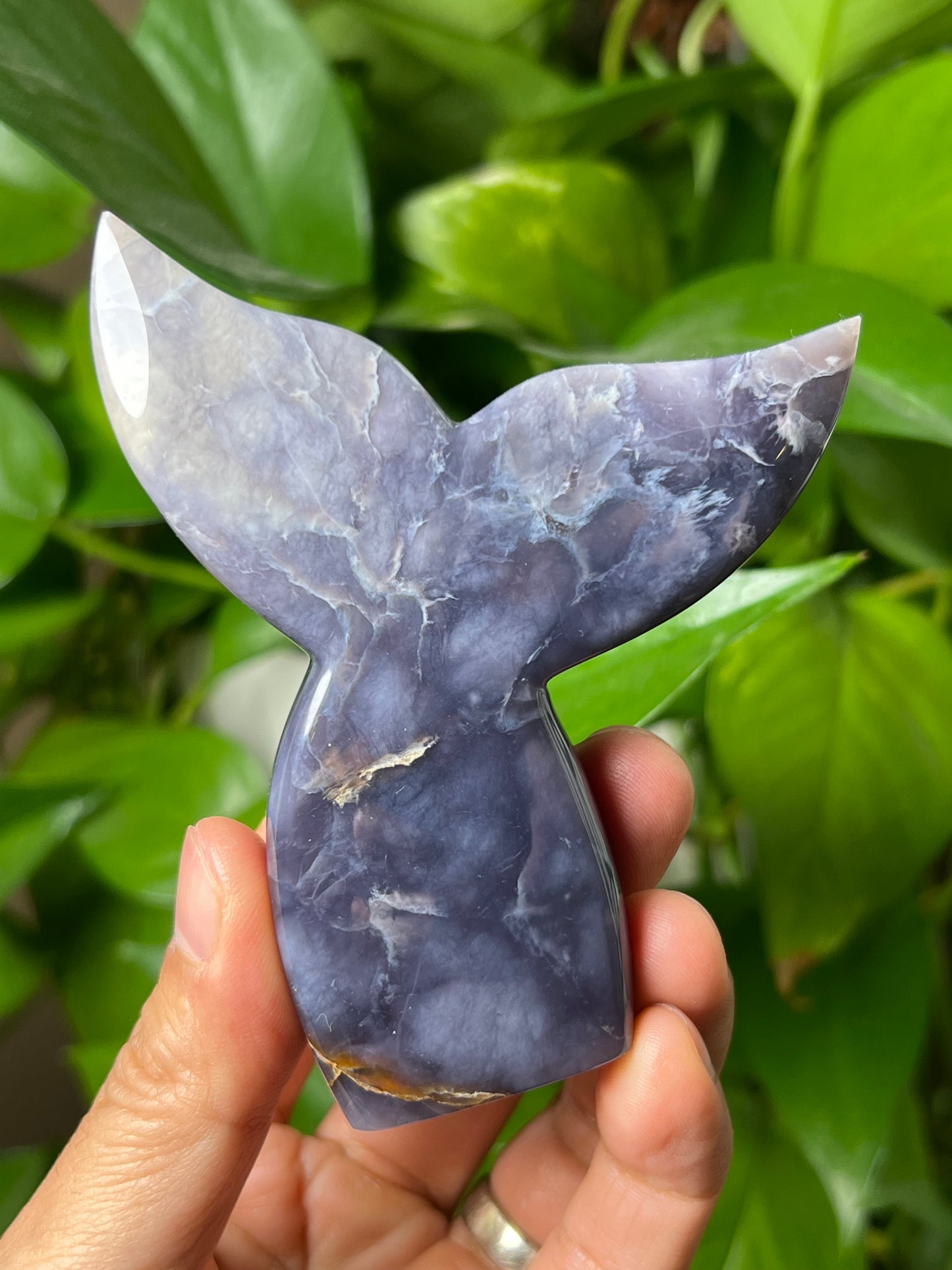 Purple Chalcedony Tail