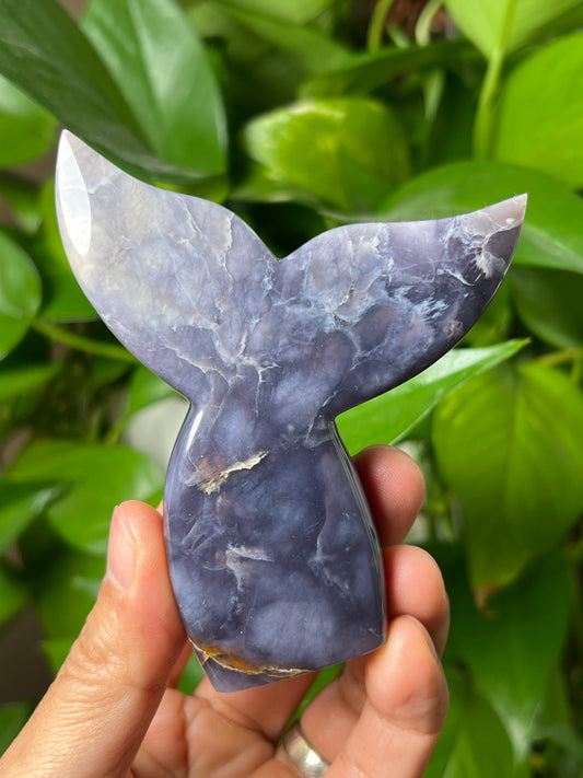 Purple Chalcedony Tail