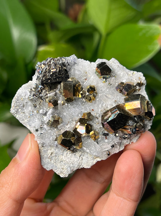 Rainbow Pyrite Quartz