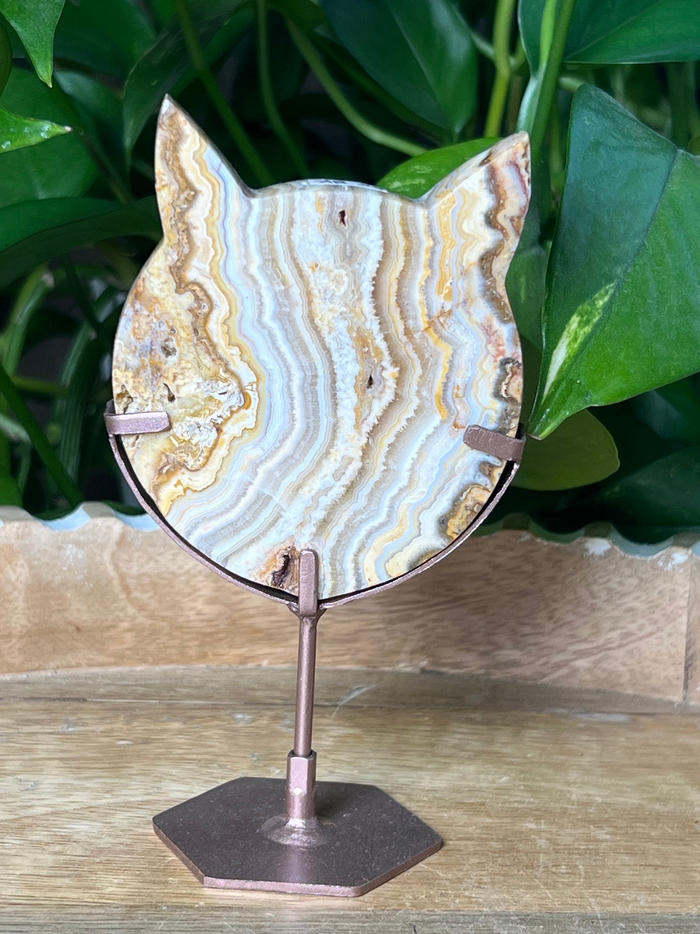 Crazy Lace Agate Cat Head