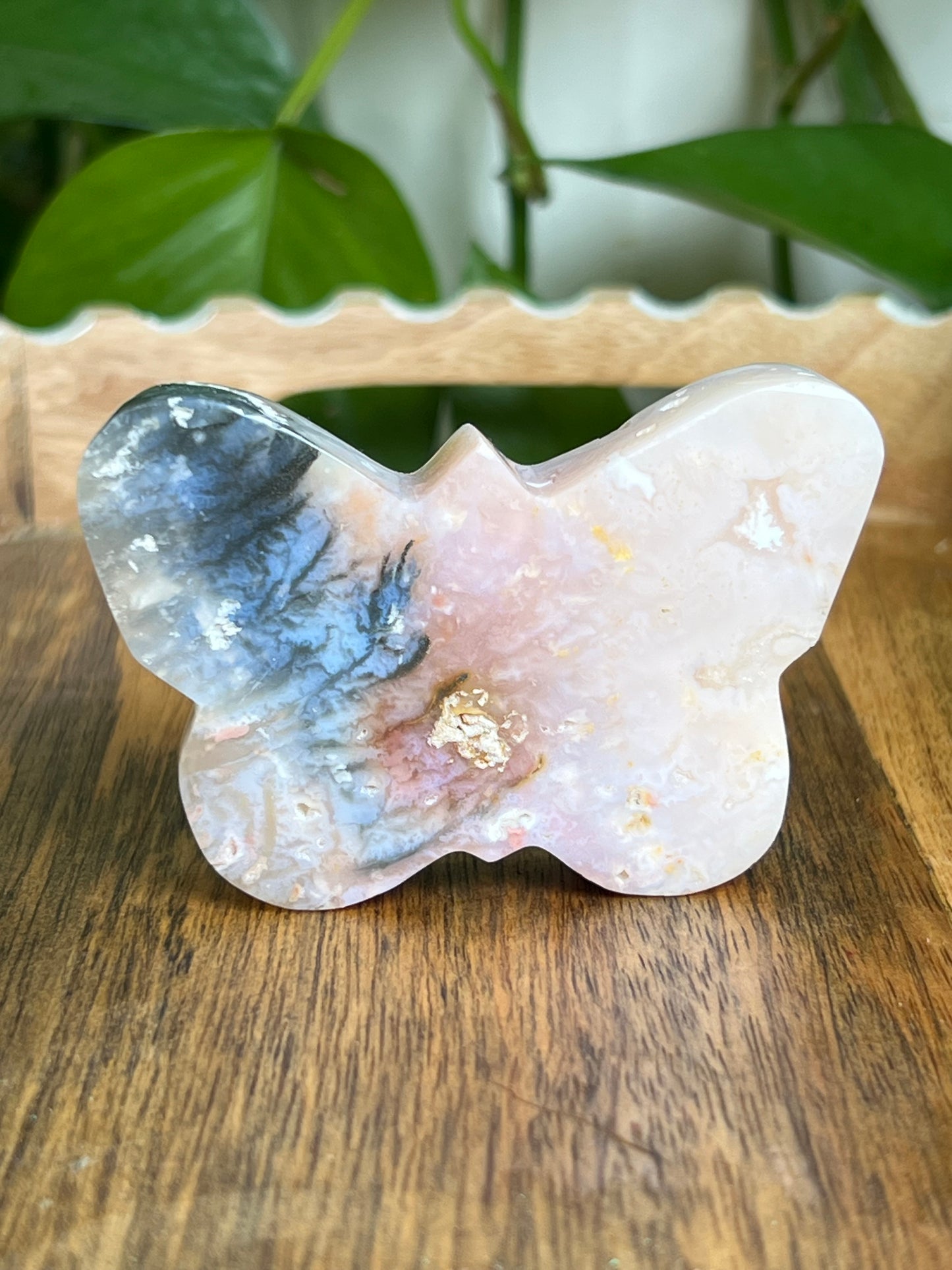 Rainbow Plume Agate Butterfly Ri