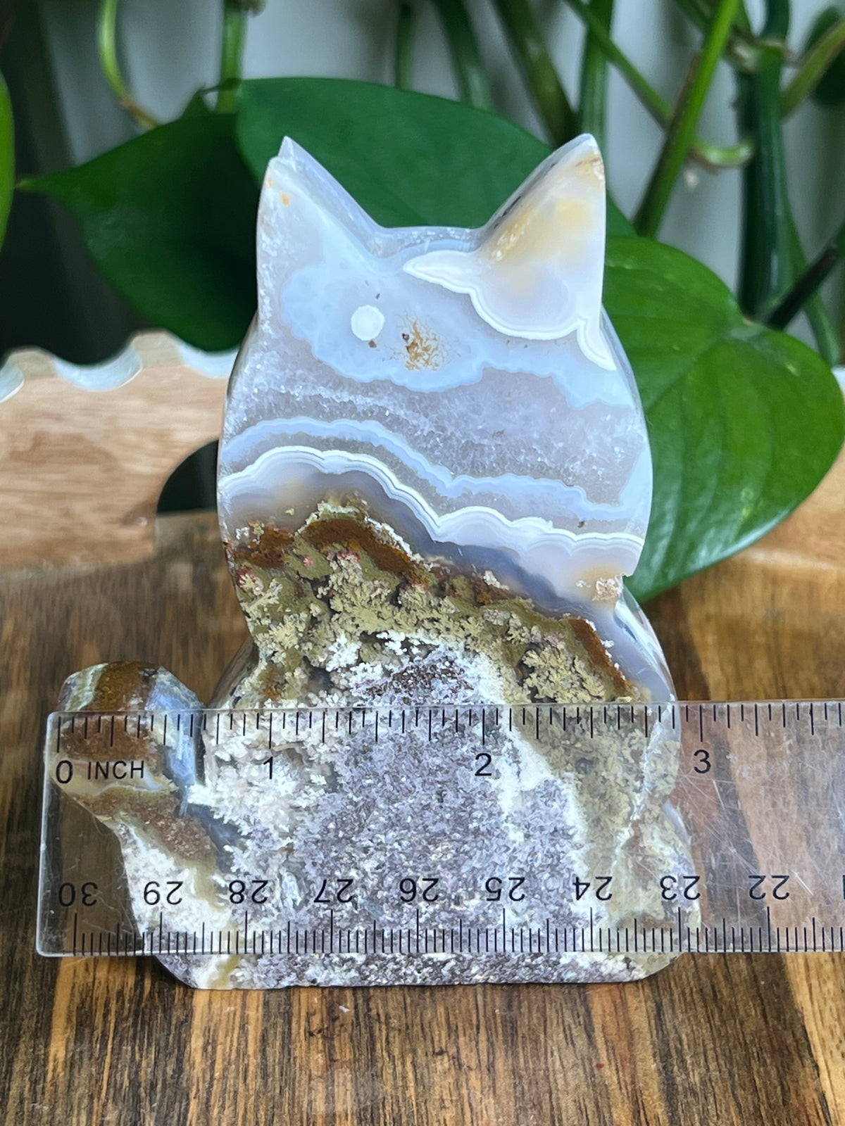 Scenic Moss Agate Cat: AD