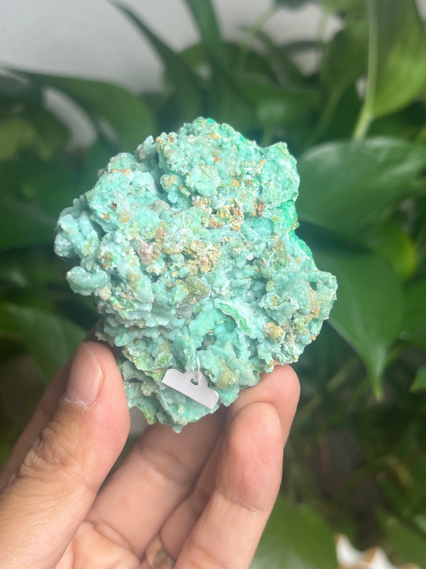 Smithsonite Specimen Hi