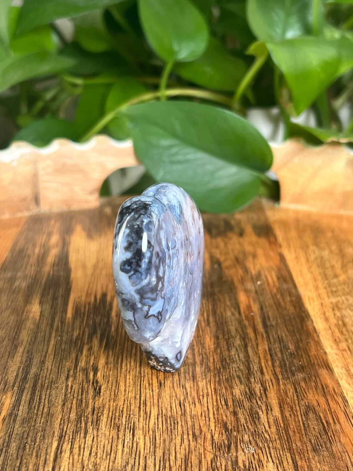 Blue Plume Agate Buffalo: PB