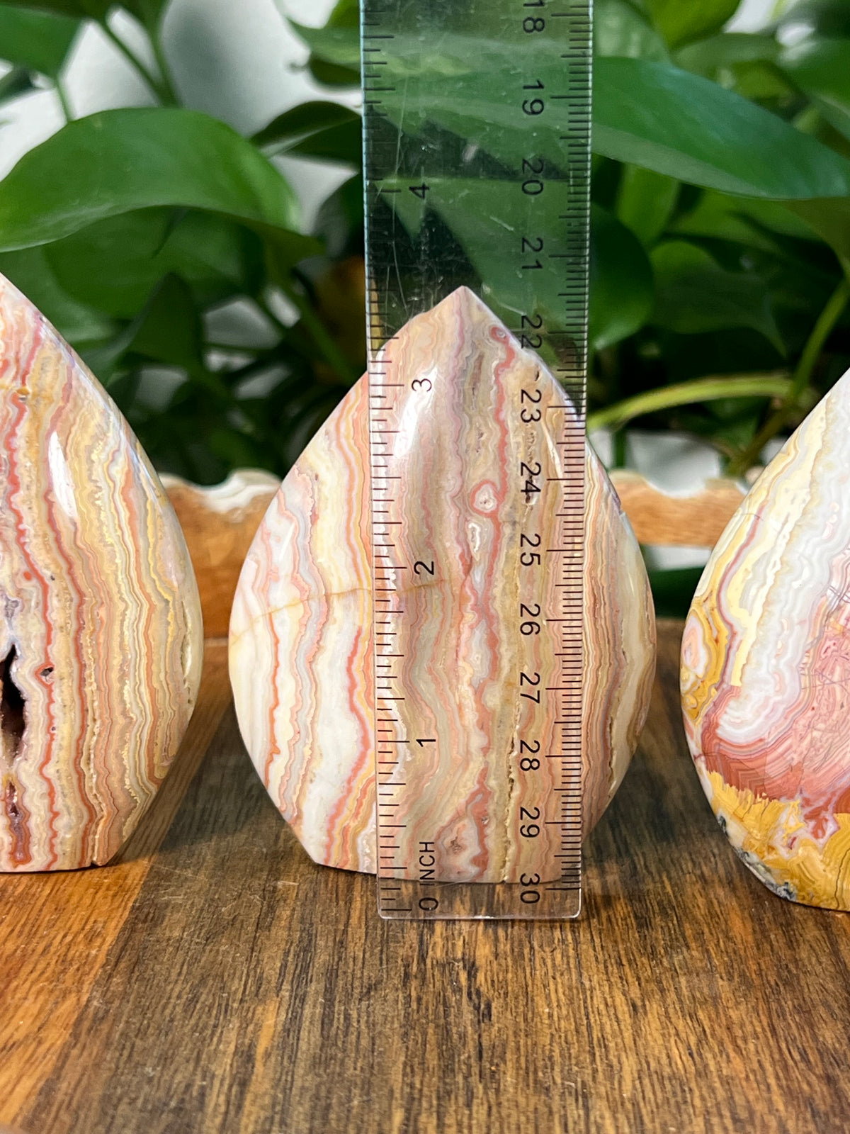 Crazy Lace Agate Flames