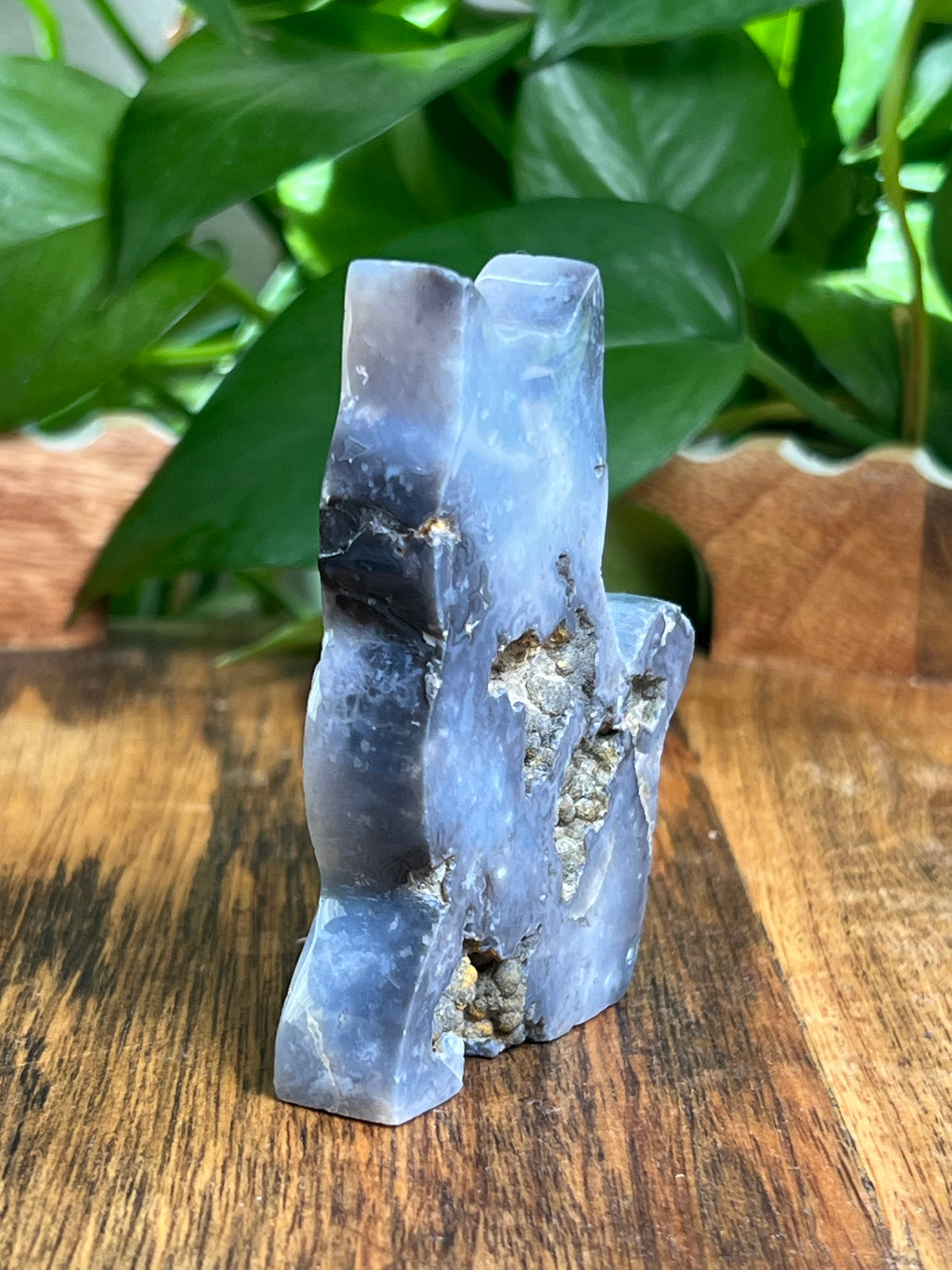 Blue Plume Agate Cat: BC