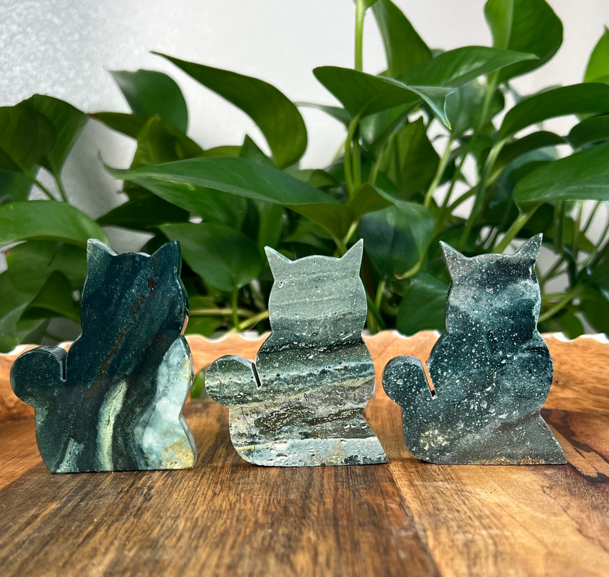 Blue Green Jasper Cats