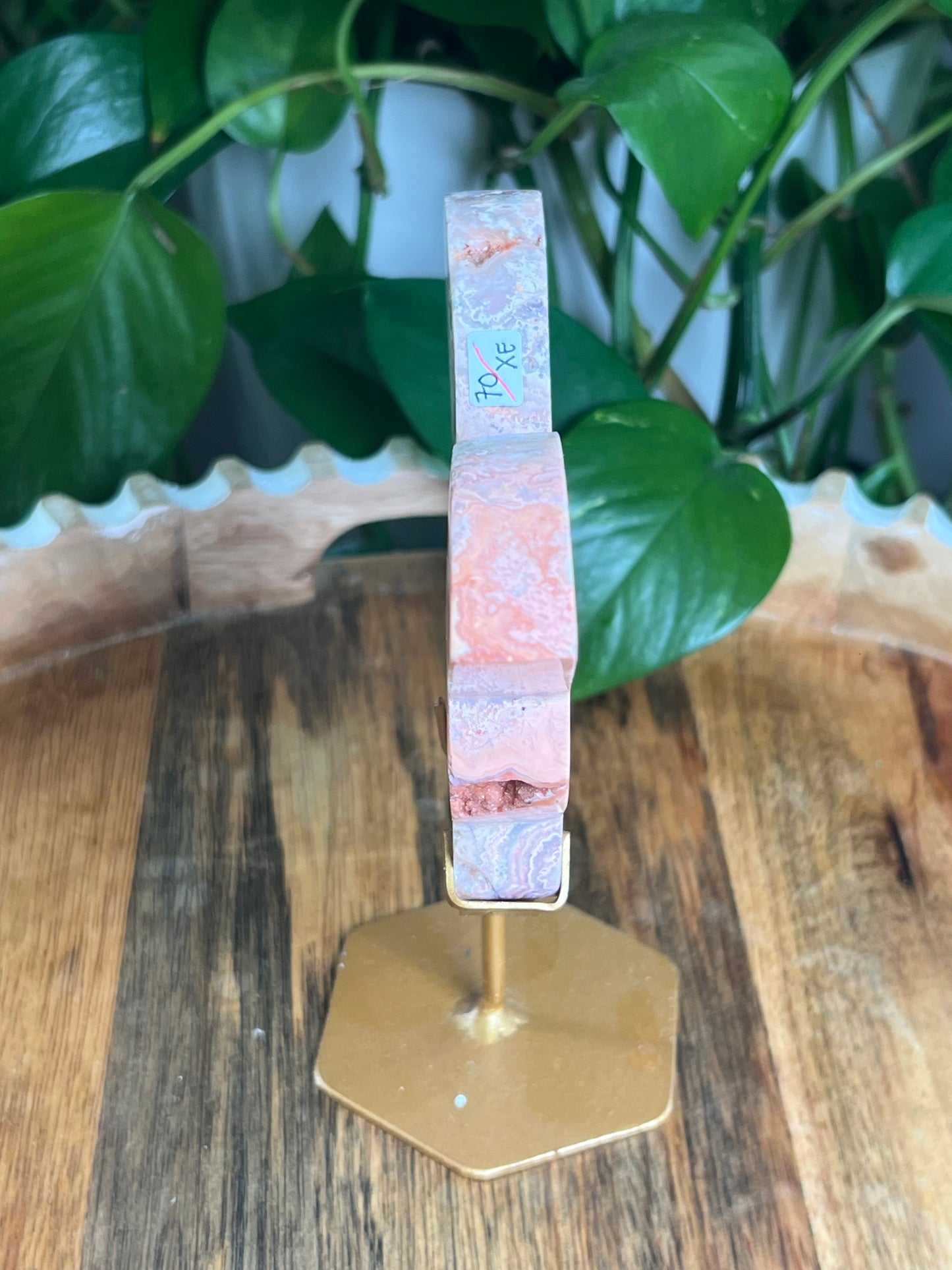 Crazy Lace Agate Butterfly: XE