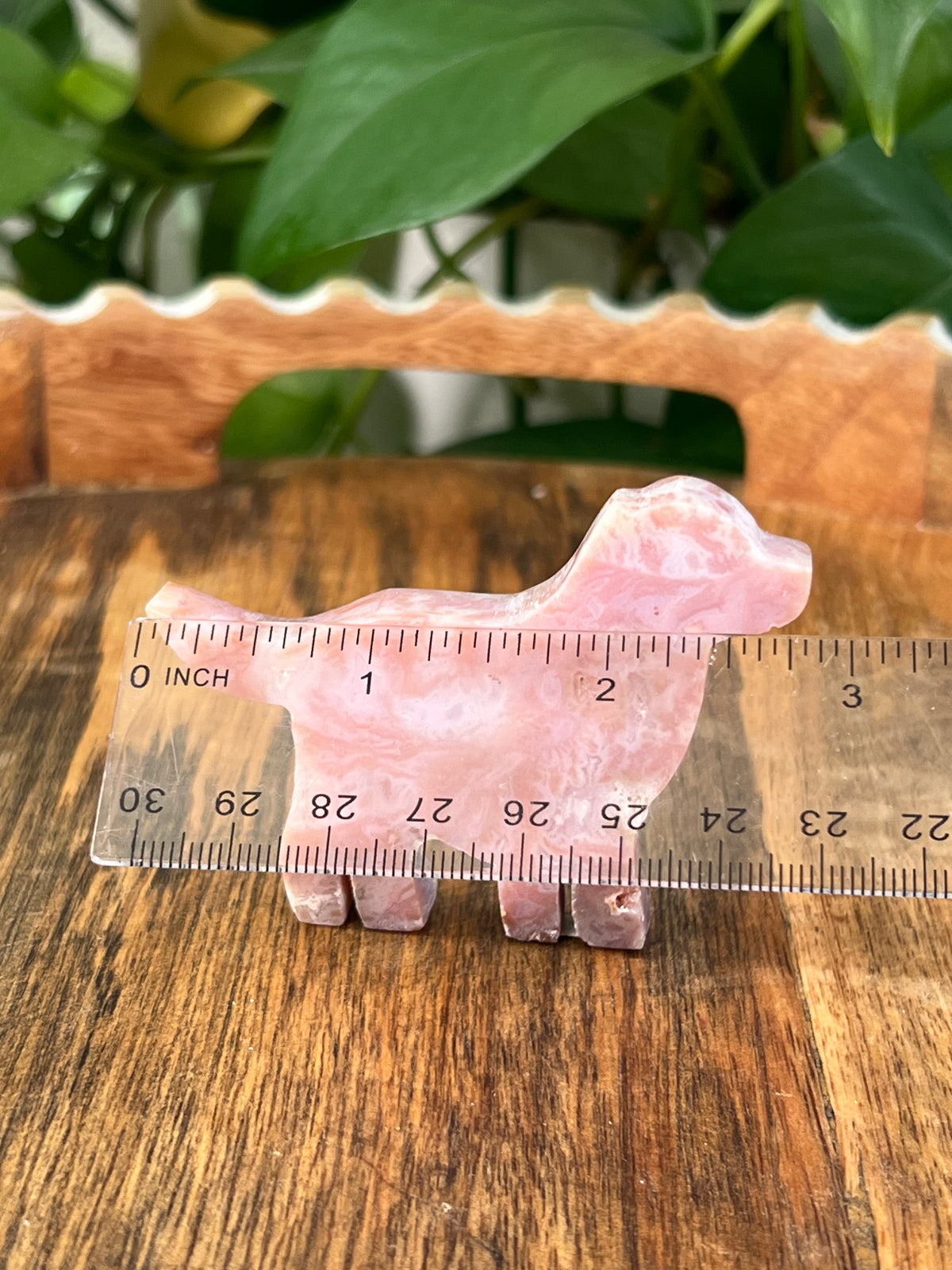 Pink Carnelian Dogs