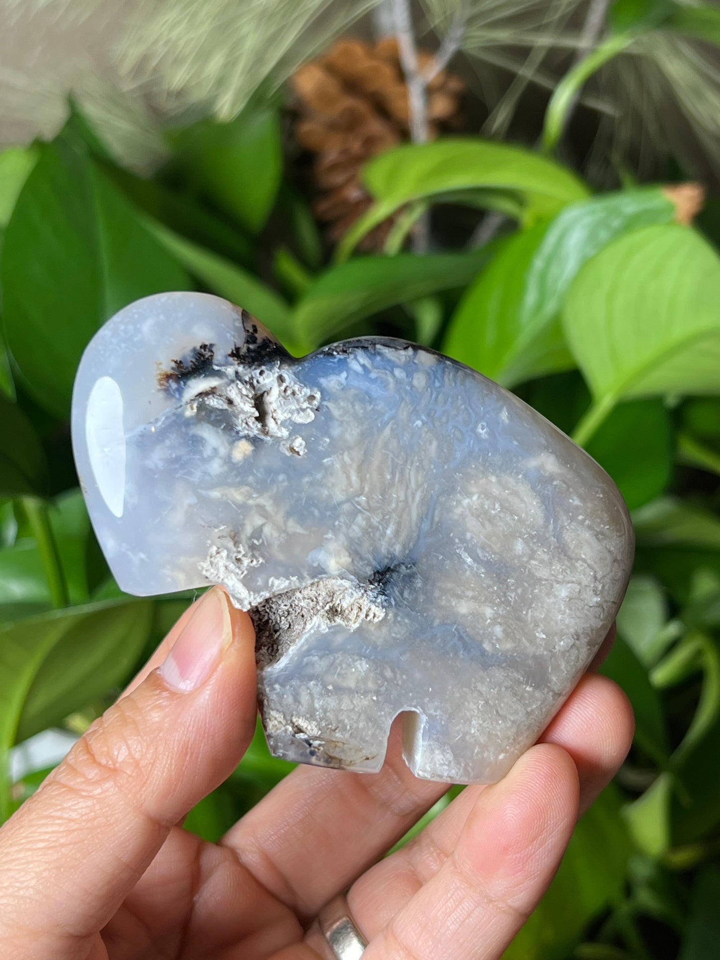 Dendritic Tiger Buffalo