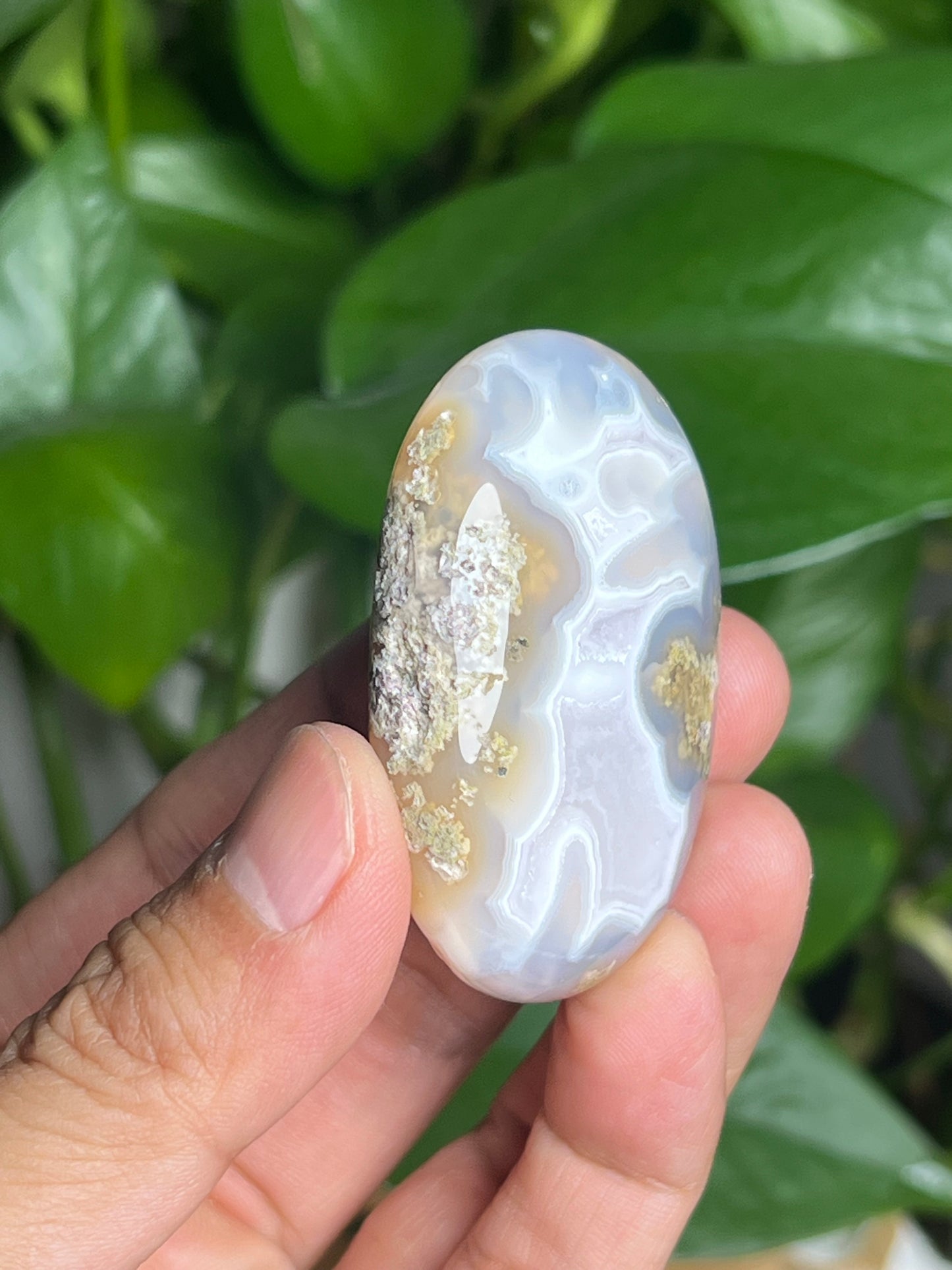 Scenic Moss Agate Palmstone: BZ
