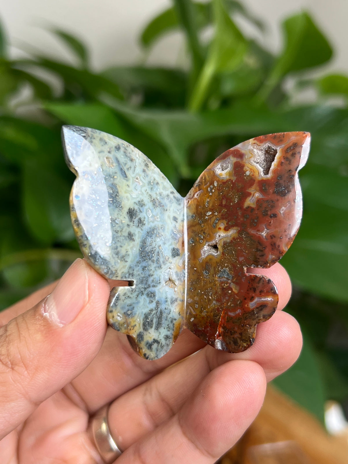 Marcasite 3D Butterfly: MS