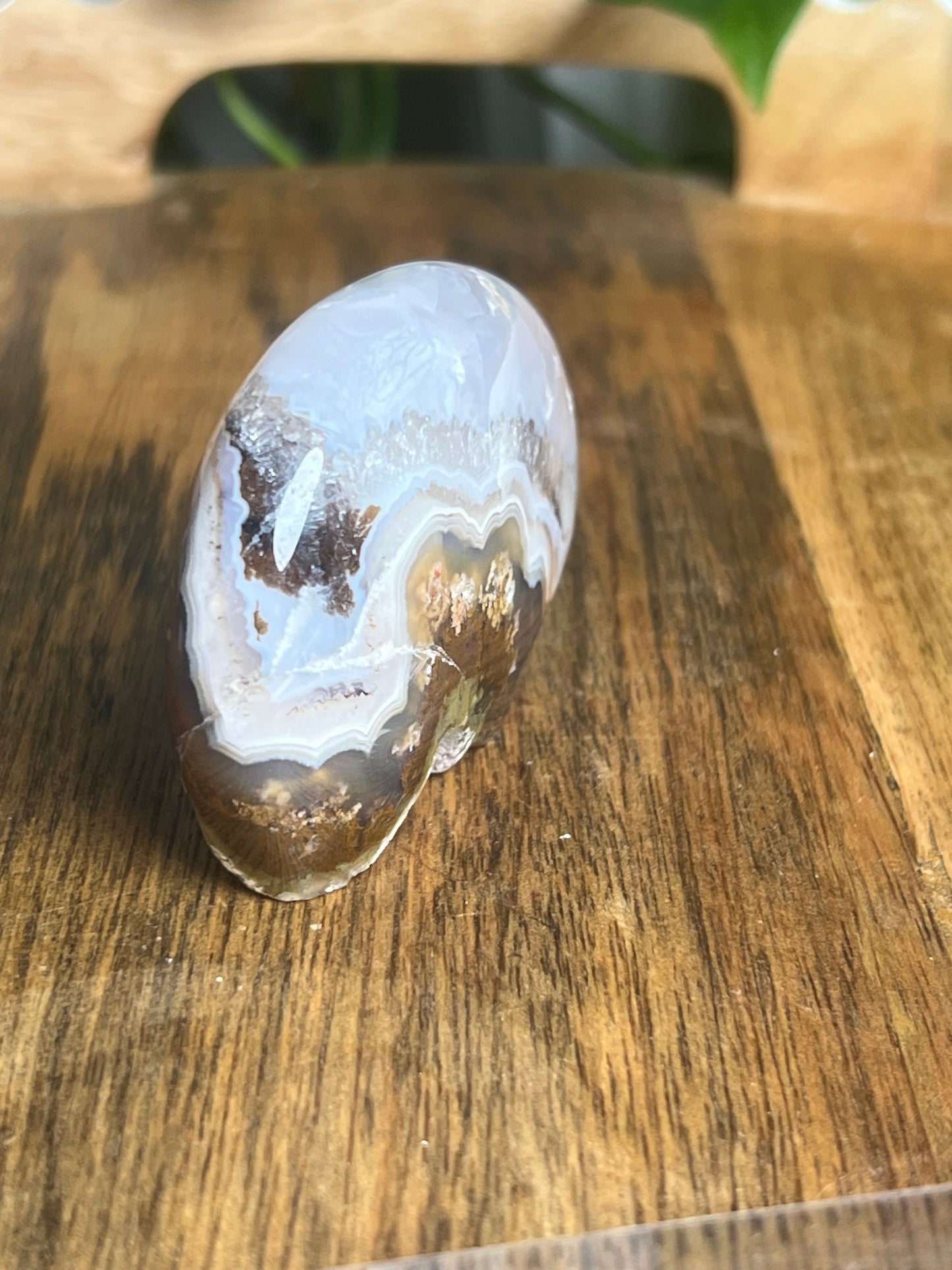 Scenic Moss Agate Bear BG