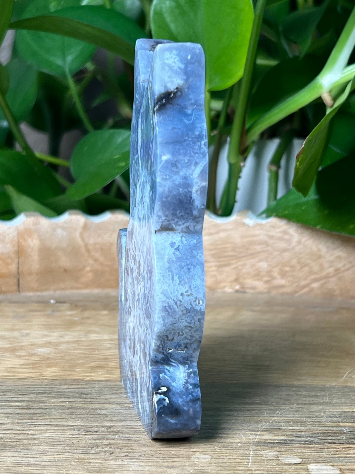 Blue Plume Agate Cat